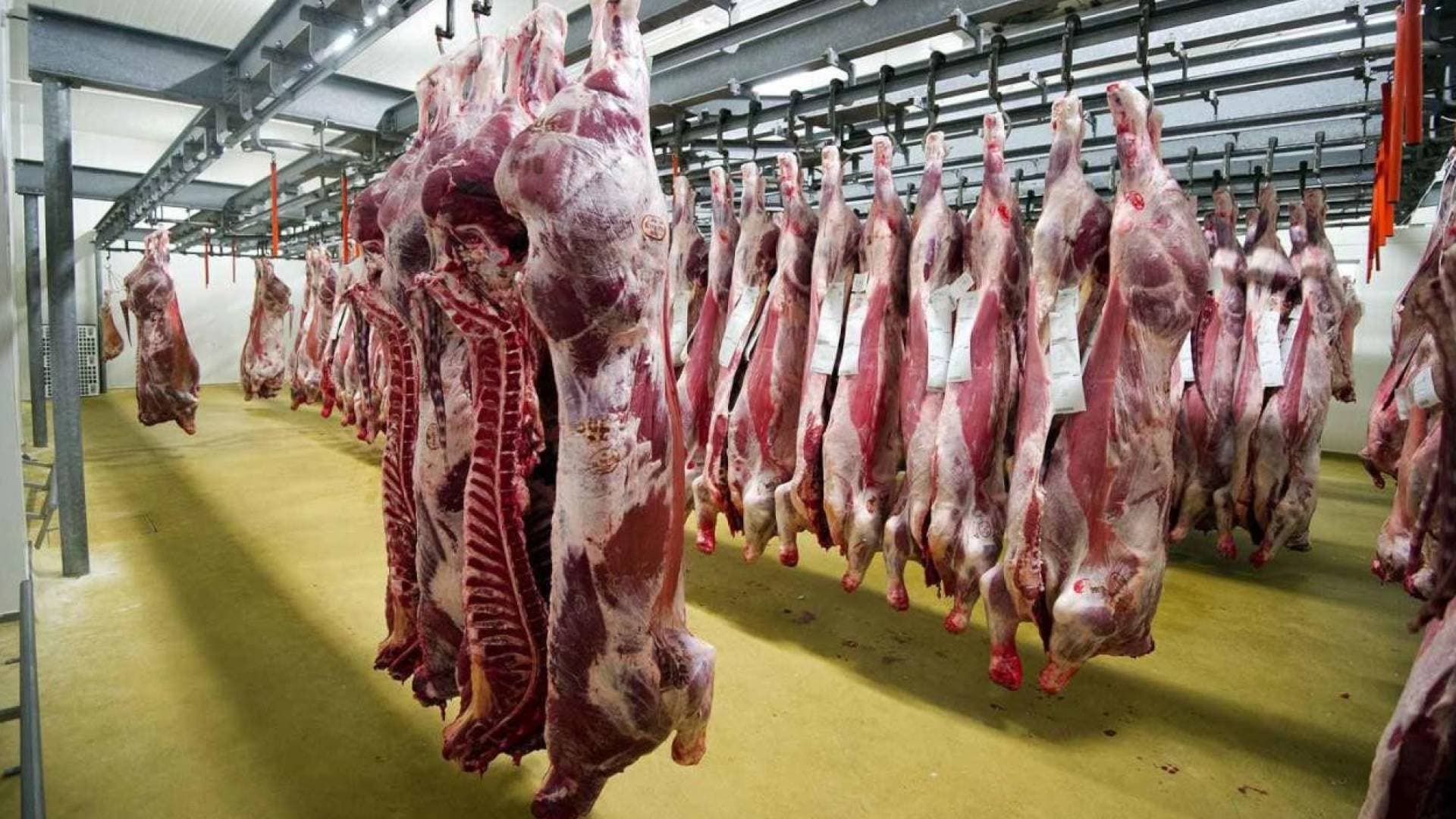 تعرف إلى دوام المسالخ في عمان خلال عيد الأضحى المبارك