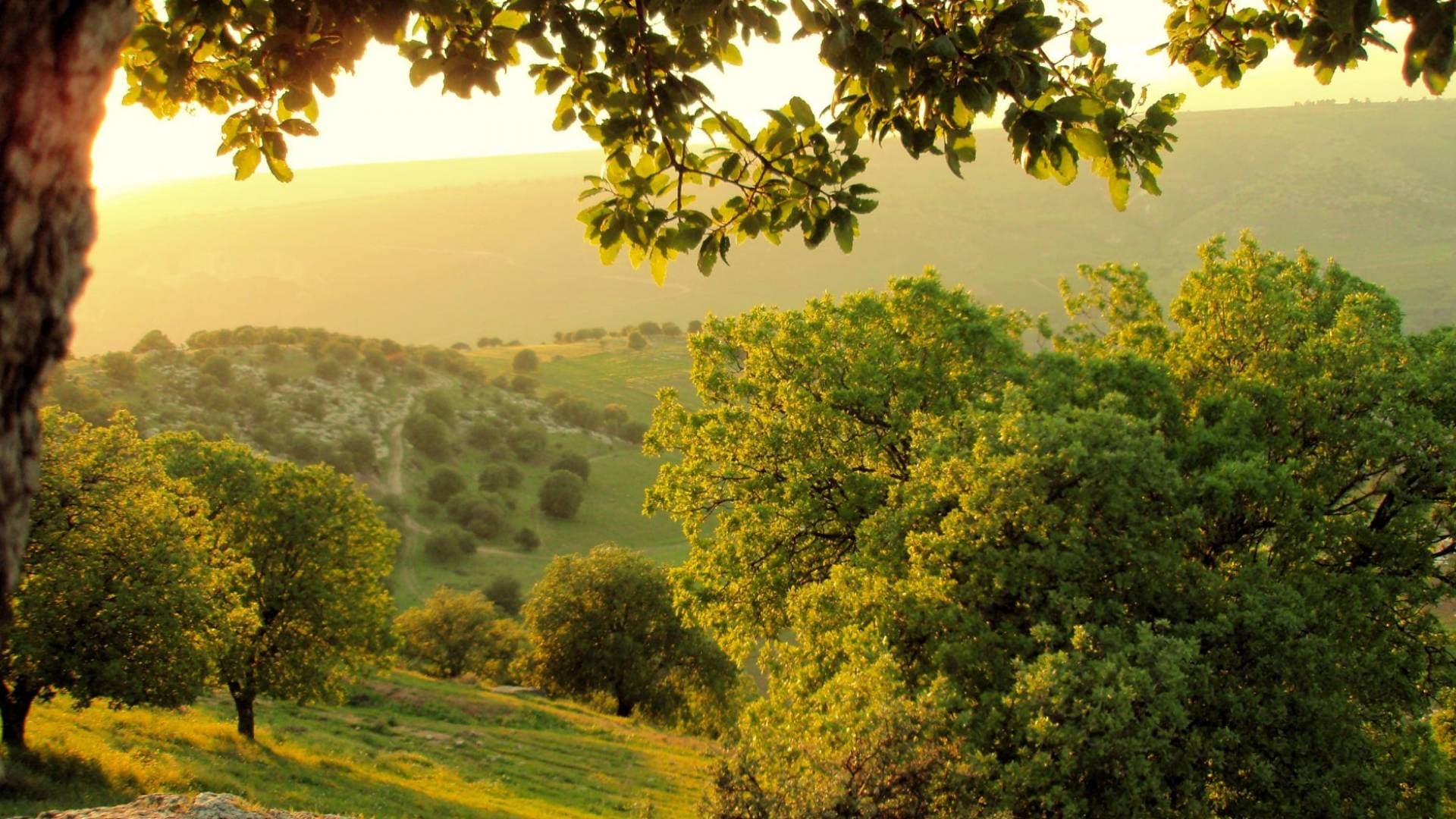 مؤشر الأداء البيئي: الأردن يتصدر الدول العربية في جودة الهواء