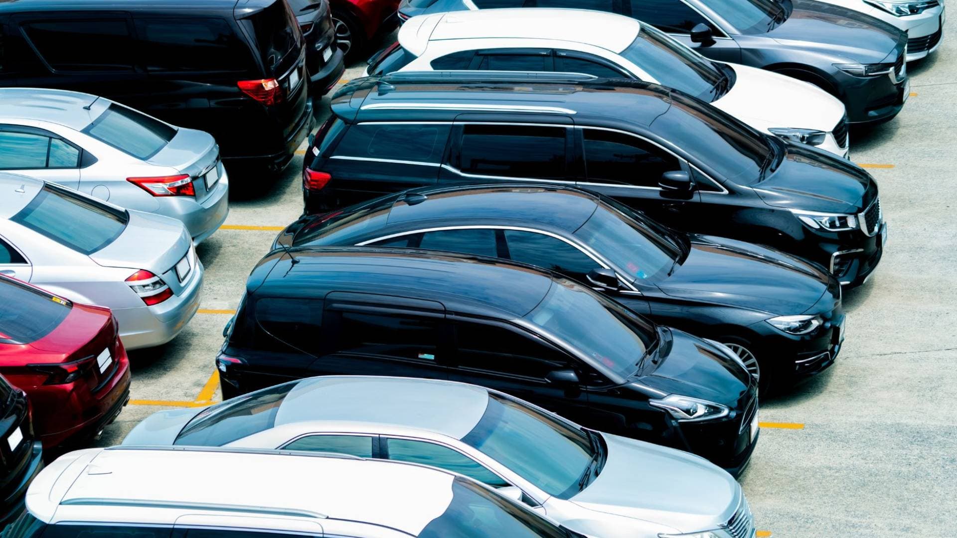 بعد قرار الحكومة تخفيض الضرائب.. تخليص 3 آلاف سيارة من حرة الزرقاء في أسبوع واحد