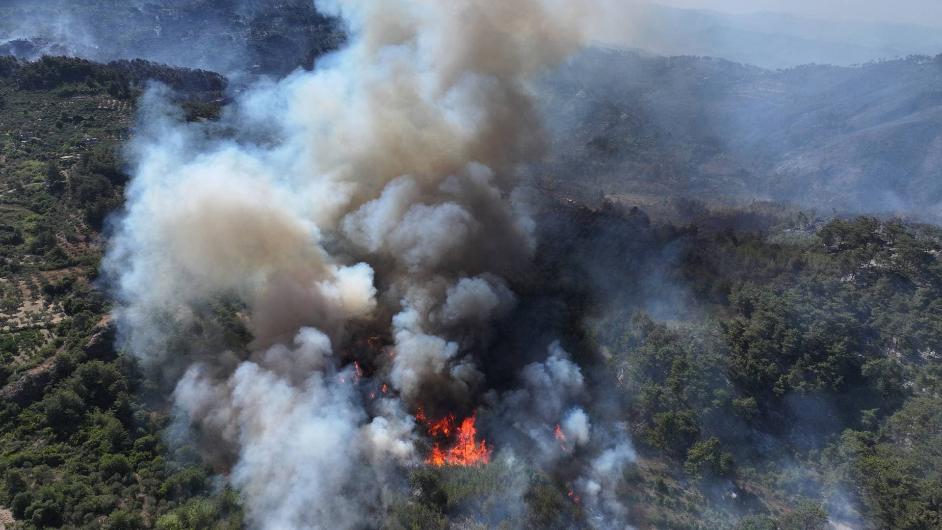 الكارثة الصامتة تحت الرماد.. تقرير علمي يكشف الأضرار الخفية لحرائق الغابات على التربة والبيئة