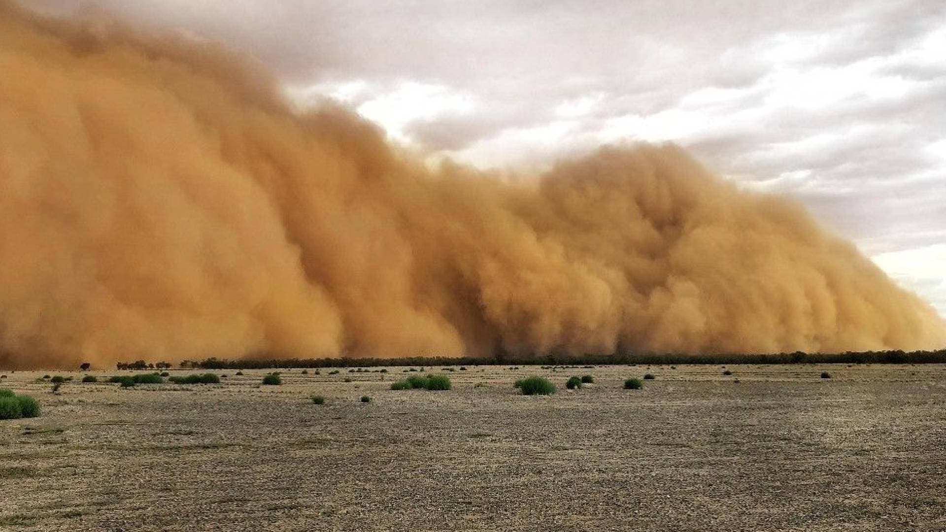 طقس العرب: موجة غبارية تؤثر على مطار المكلة علياء والطرق الصحراوية