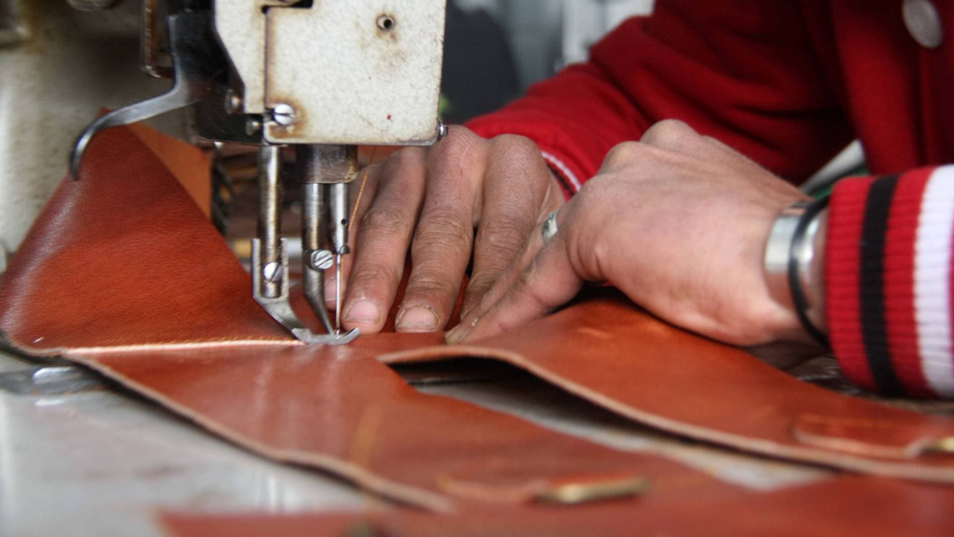 الأردن: صادرات "الجلدية والمحيكات" تقفز إلى 1.686 مليار دولار..