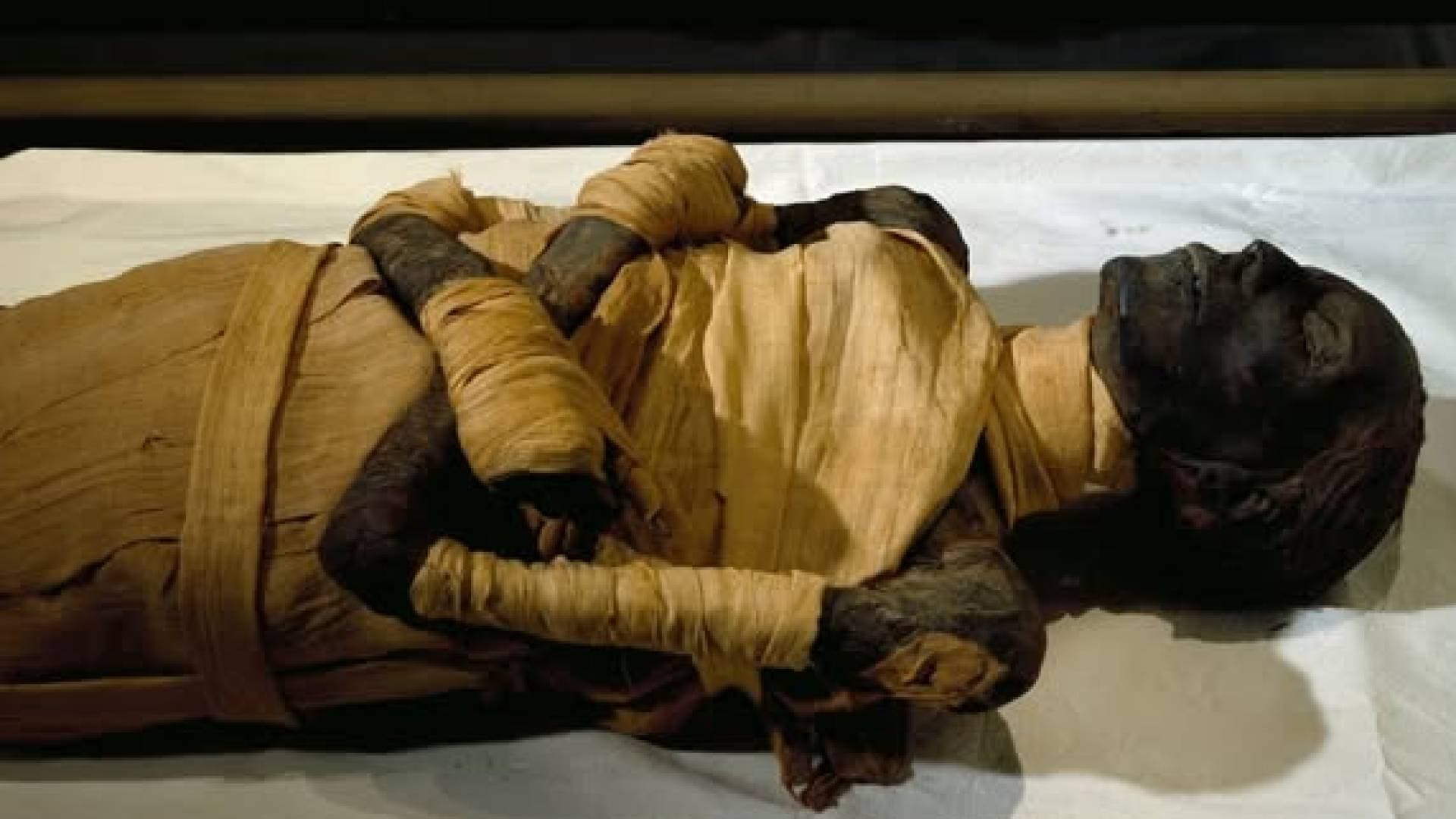 مومياء الملك تحتمس الرابع تحير السوشيال ميديا: الشعر "الحيوي" يكشف سر التحنيط المصري