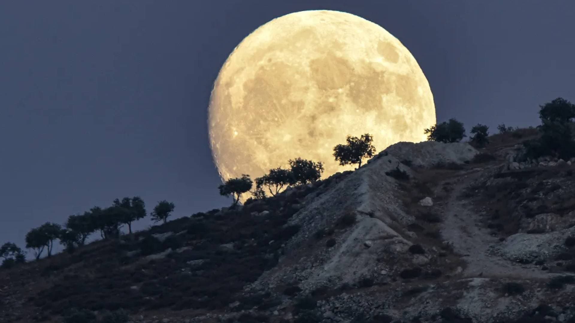 "قمر ديسمبر البارد".. العالم العربي على موعد مع آخر "الأقمار العملاقة" لهذا العام
