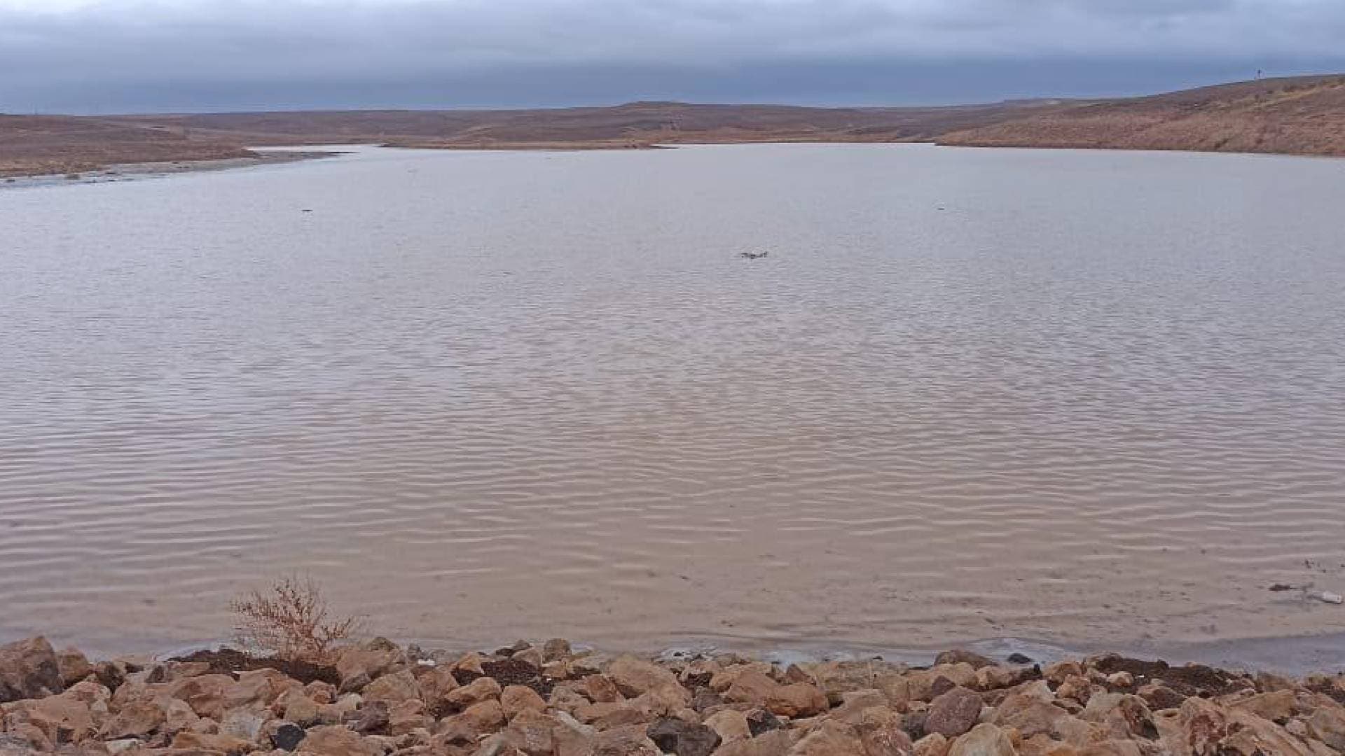 سلطة وادي الأردن: بدء فيضان سد الوحيدي في معان ودعوة للابتعاد عن السيول