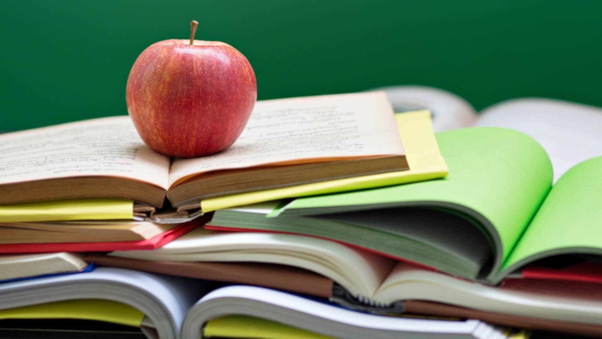 تطوير المناهج تكشف لـ"رؤيا" تفاصيل النظام الجديد لتطوير المناهج الأردنية والتركيز على التعليم الدامج -فيديو