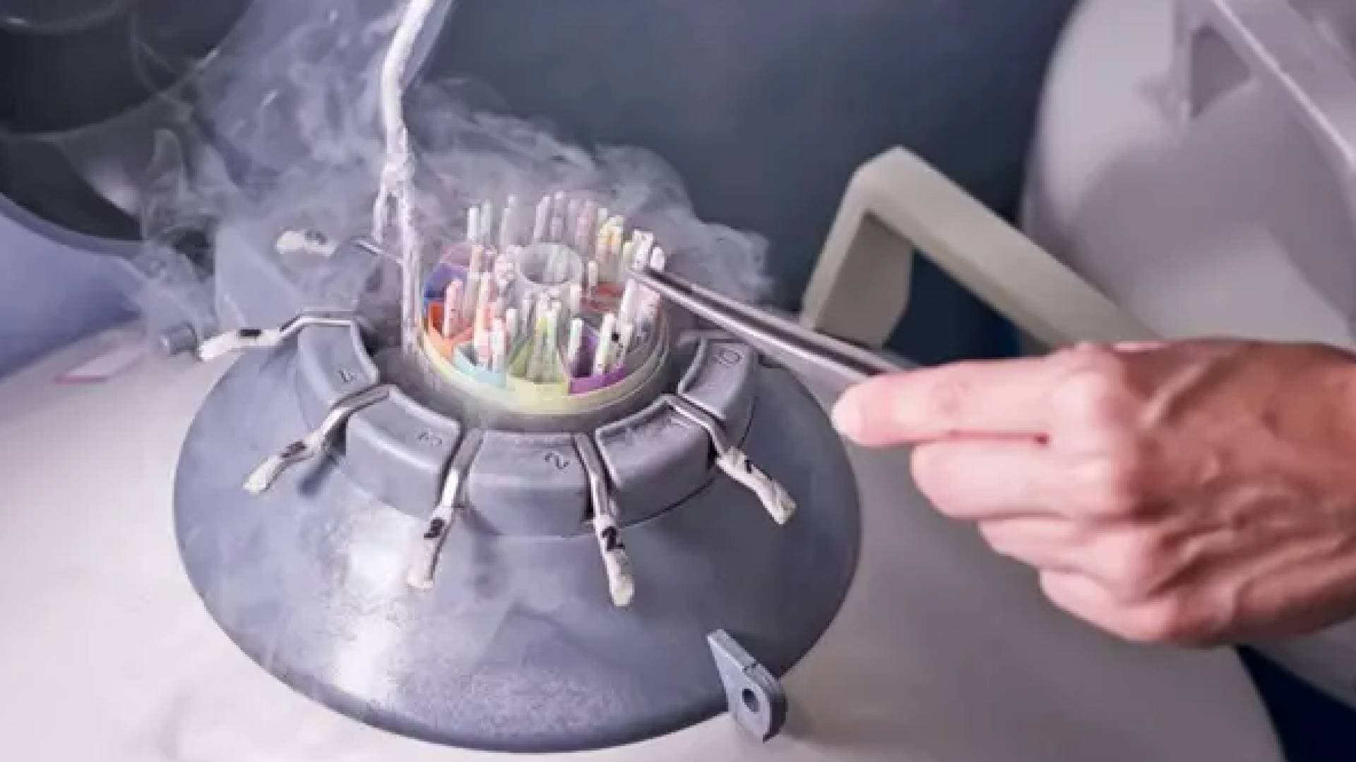 تحقيق يكشف متبرعا يحمل طفرة جينية تهدد حياة 197 طفلا بأوروبا