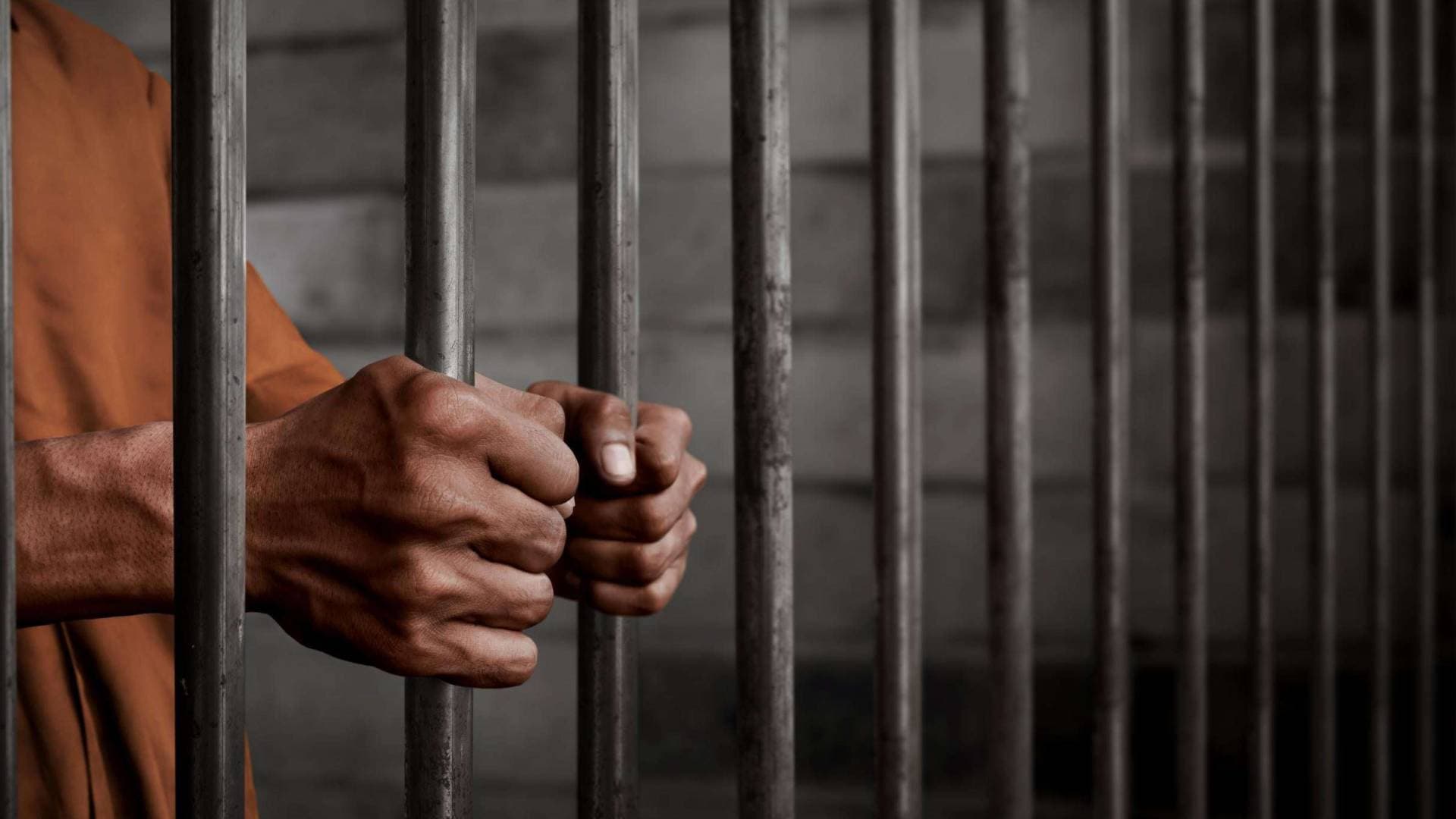 "وهم الثراء السريع".. اعترافات صادمة لعصابة دولية جمعت 30 مليون جنيه بزعم "الاستثمار في الذهب"