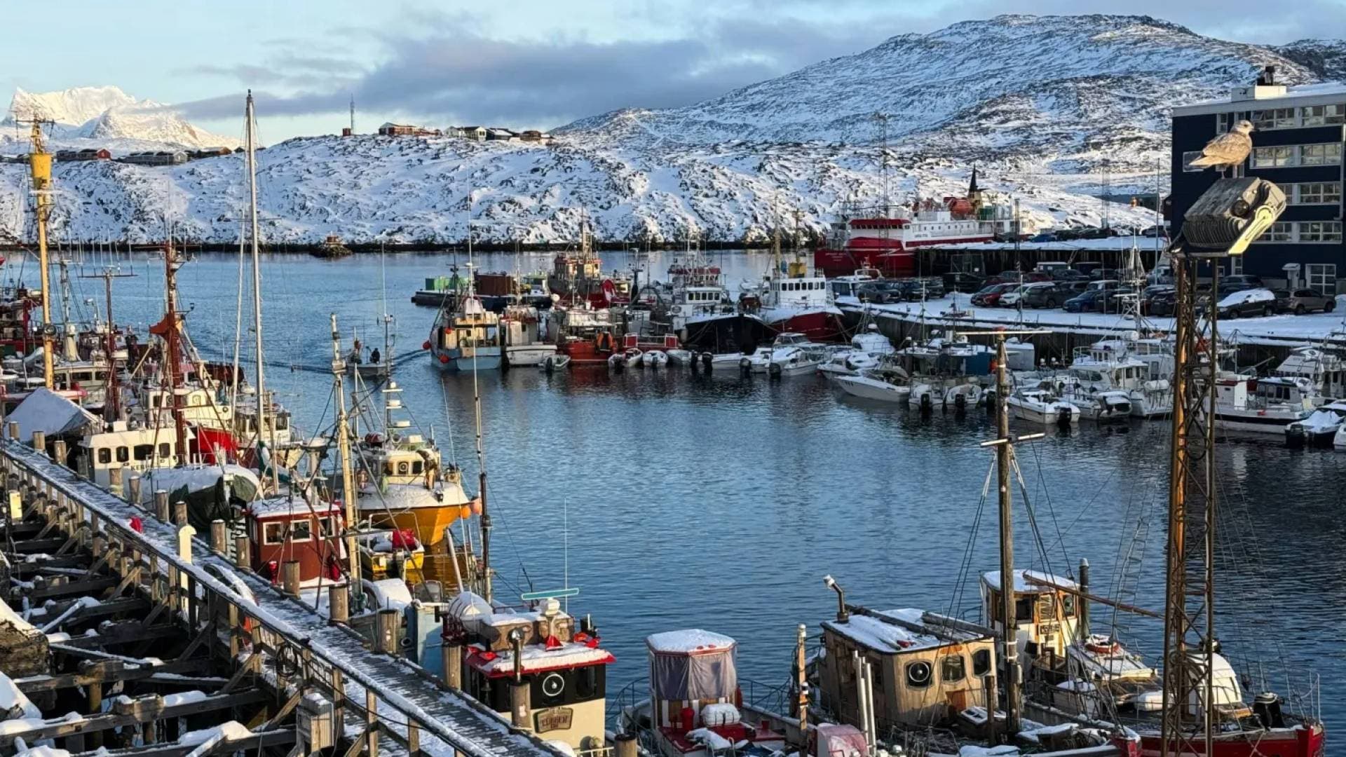 فرنسا تحذر من أي محاولة أمريكية للاستيلاء على غرينلاند