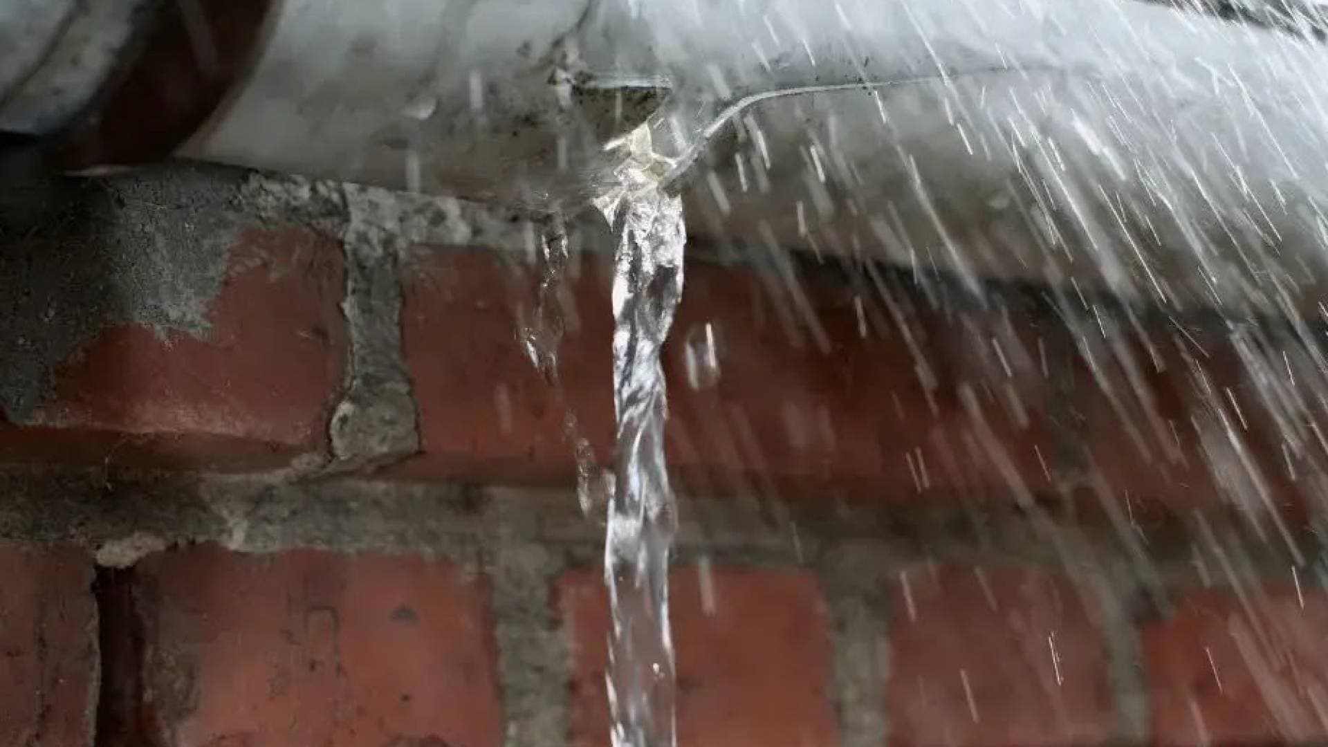 مياه اليرموك تبدأ استبدال خط صرف صحي تسبب بفيضان مياه عادمة إلى شقق سكنية في إربد