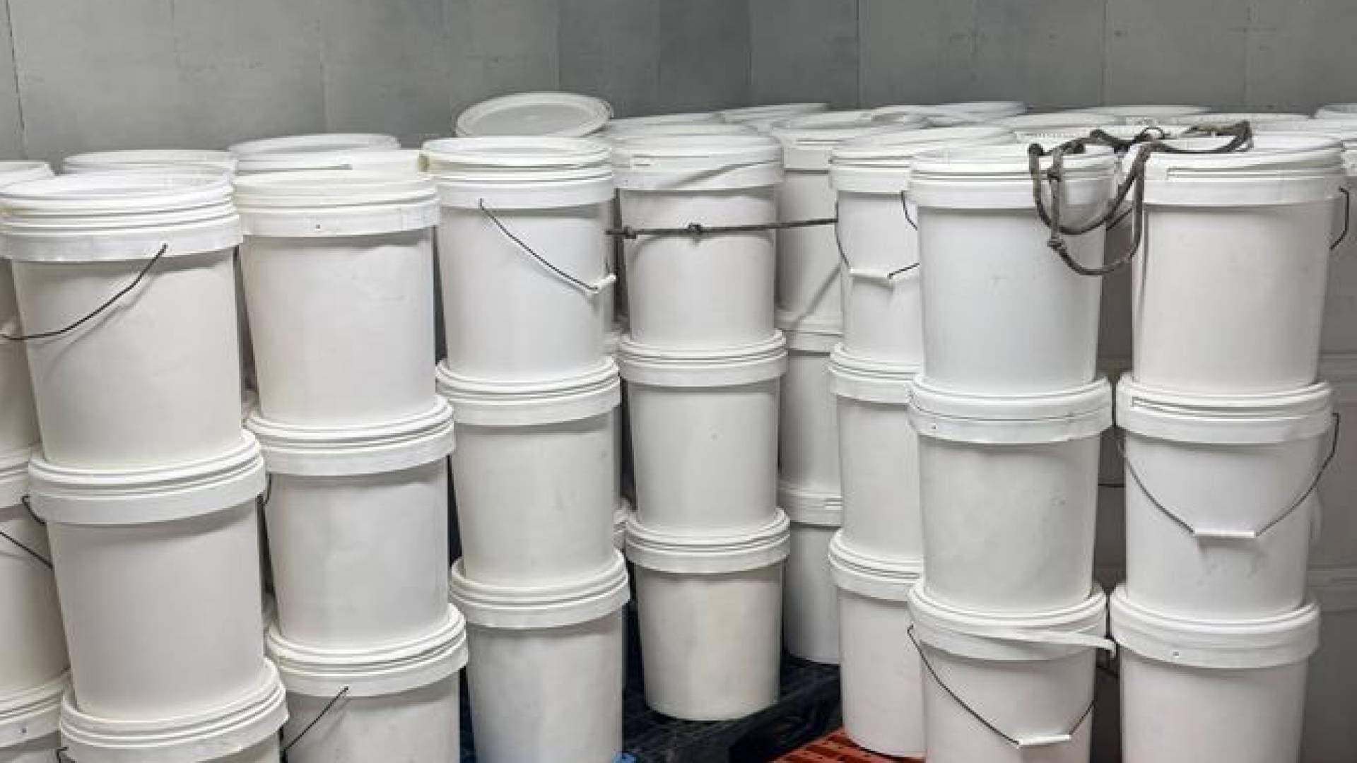 الغذاء والدواء: إغلاق مستودع غير مرخص يدخل حليبا مجففا عبر المنطقة الحرة ويورده لمعامل ألبان