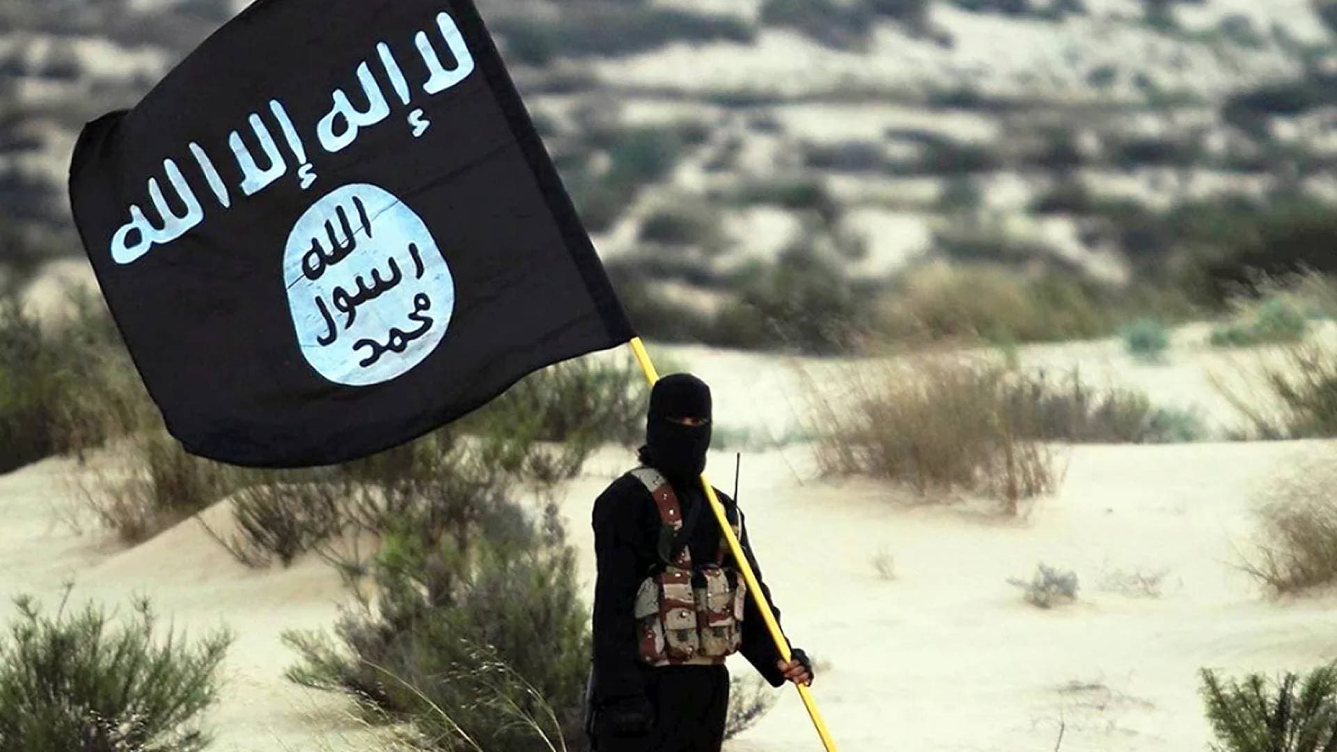 وزير الخارجية العراقي: تم نقل نحو 3000 سجين من عصابة داعش الإرهابية من سوريا