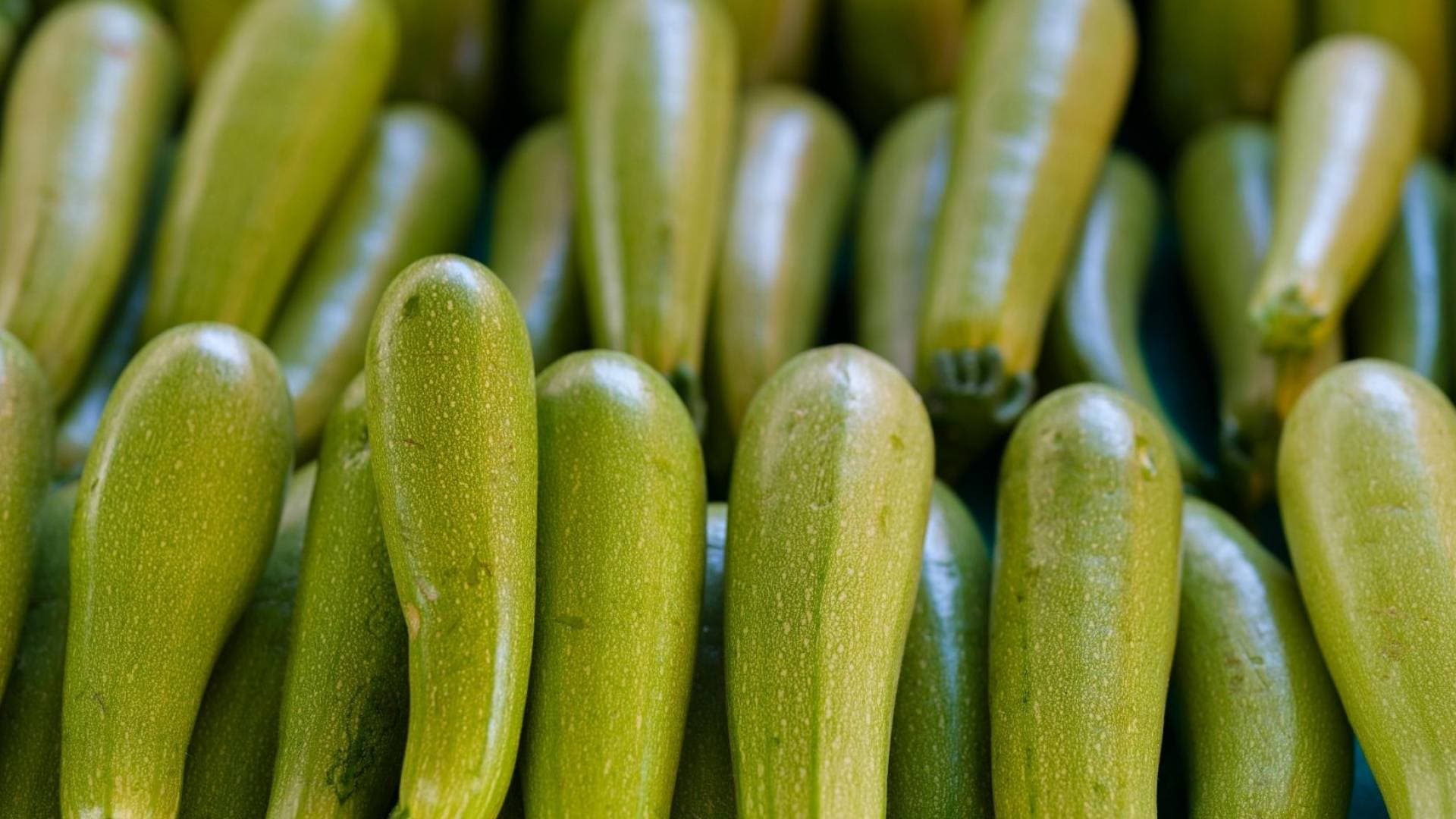 بين "المركزي" و"الرفوف".. فجوة الأسعار تثقل كاهل العمانيين والكوسا تقفز للضعف