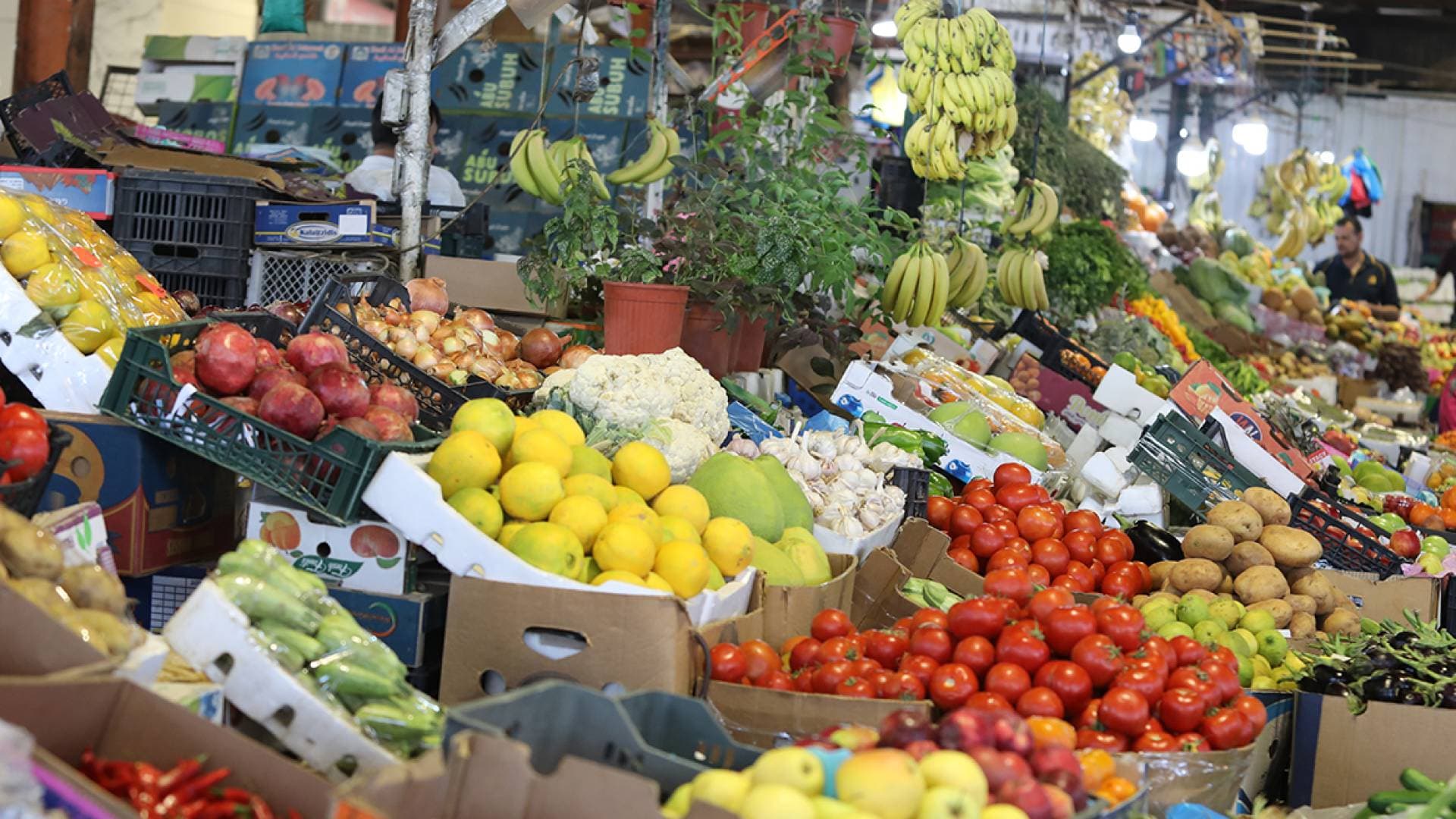 البندورة بـ 10 قروش.. استقرار أسعار الخضار الأساسية ووصول 1398 طنا للمركزي عمان الأربعاء