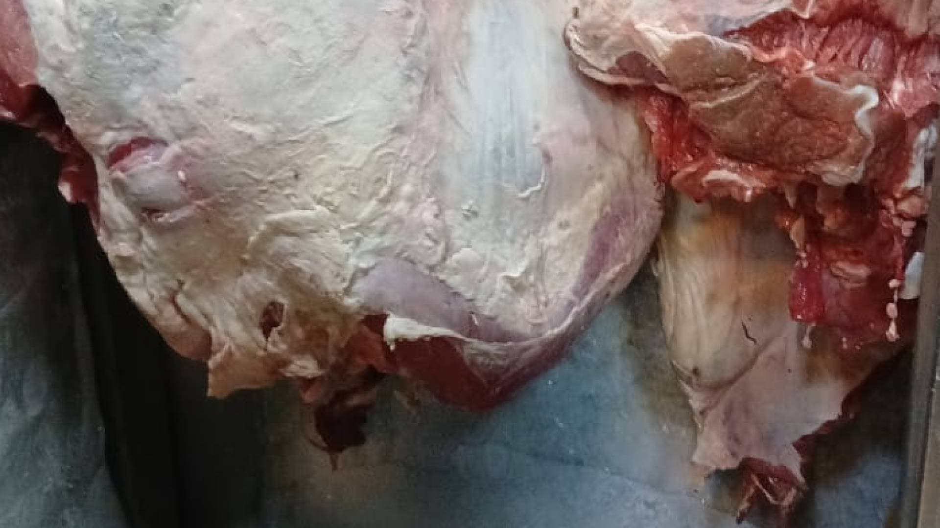 جولة لزيادة الرقابة الصحية على المحلات التجارية في سهل حوران بالرمثا