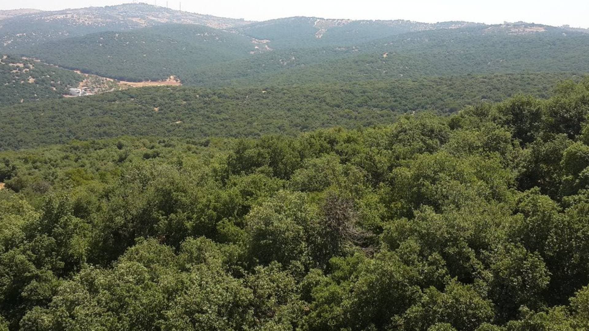 هدر كميات ضخمة من مياه الشرب في ناعور يثير استياء المواطنين - فيديو