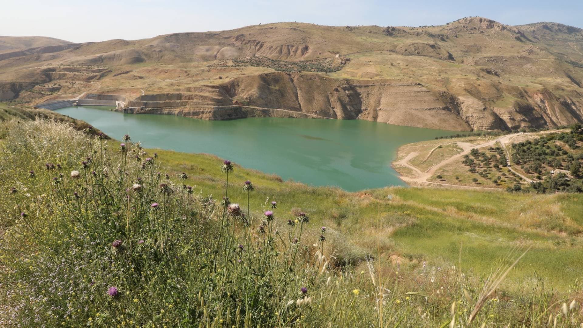 اتفاقيات استثمارية لتعزيز التنمية وتوفير فرص عمل في وادي الأردن