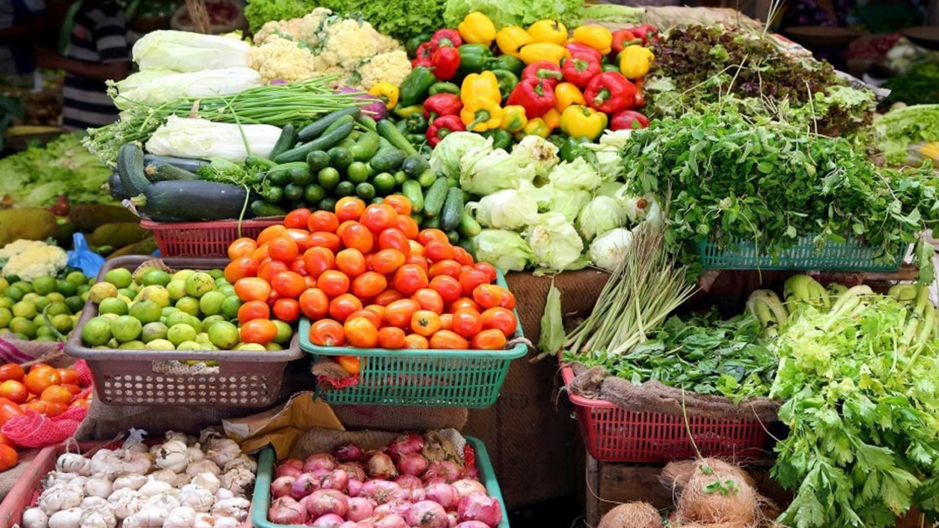 تجار لـ"رؤيا": إرتفاع أسعار البندورة بسبب الصقيع وبعض أنواع الفواكه بسبب قلتها - فيديو