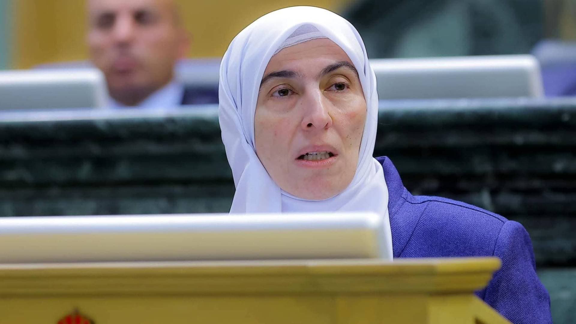 طهبوب: مشروع قانون الملكية العقارية يتضمن إيجابيات مع ضرورة ضبط الصلاحيات