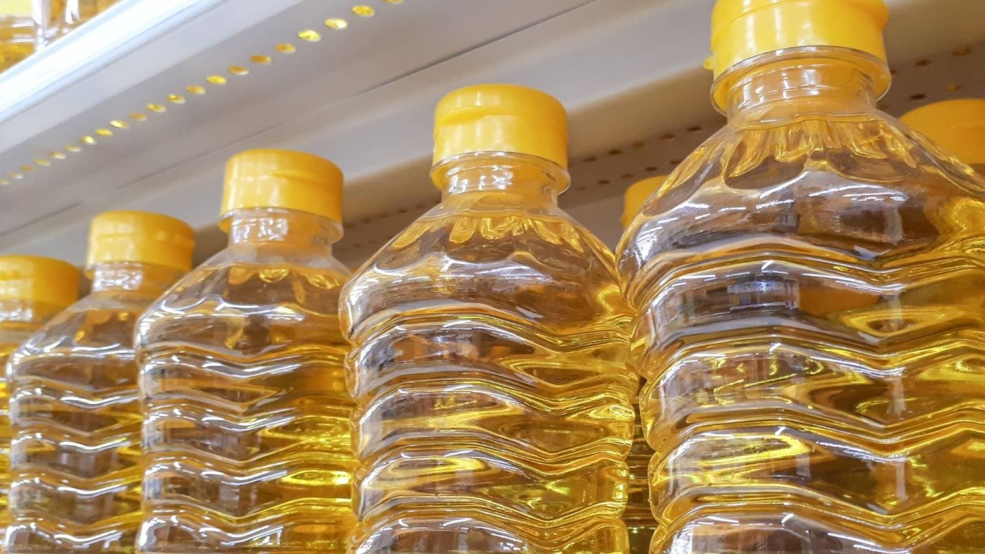 وزير الصناعة والتجارة: استقرار توفر الزيوت واستمرار الإمدادات رغم الظروف الإقليمية