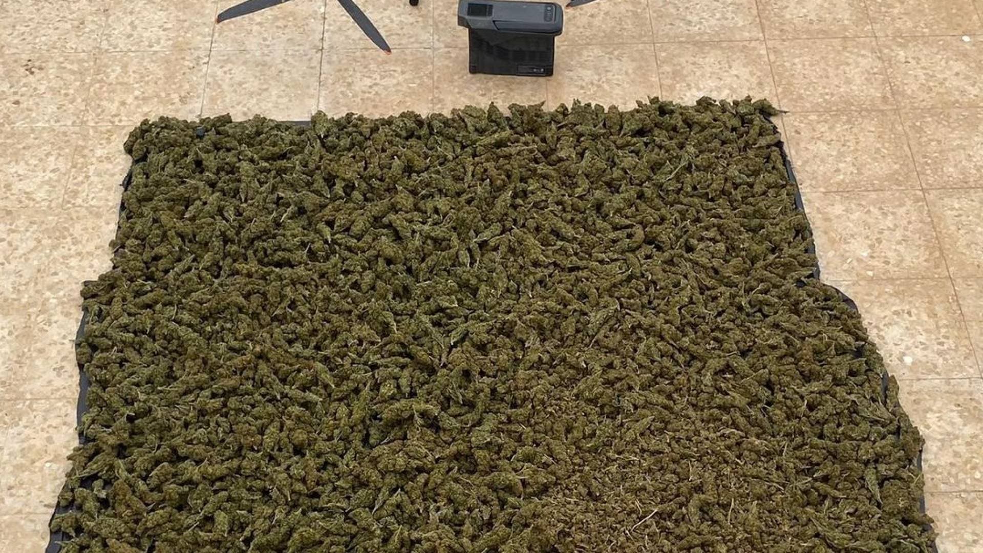 القوات المسلحة الأردنية: إحباط محاولتي تهريب وتسلل على الواجهتين الغربية والشمالية للمملكة