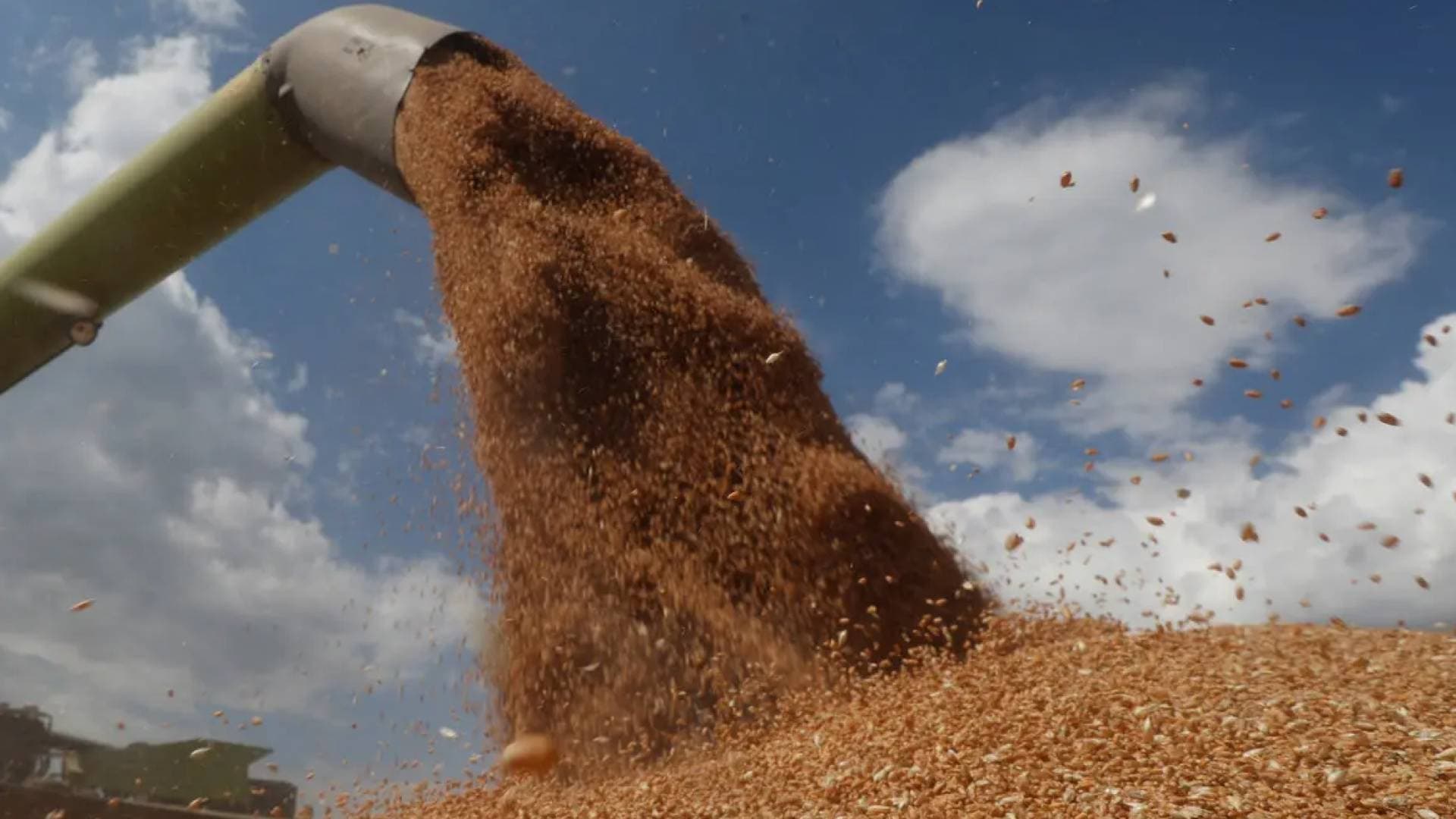 الصوامع: خصومات 40 % على التخزين لتحفيز استيراد الحبوب والمواد التموينية