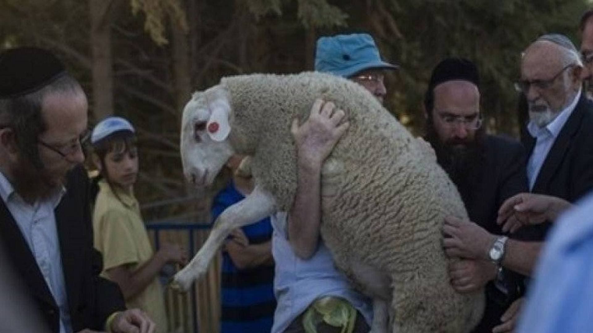 محافظة القدس: 7 محاولات لإدخال "قرابين" للمسجد الأقصى خلال "الفصح اليهودي" هذا العام