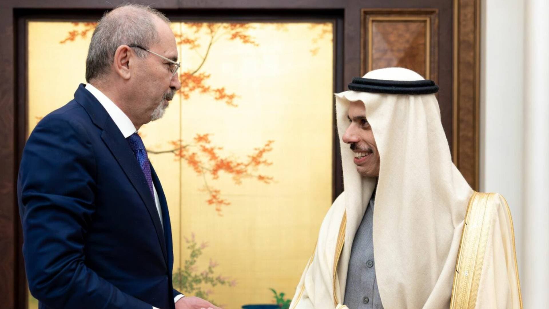 الصفدي وبن فرحان يجددان التمسك باتفاق وقف إطلاق النار في لبنان وإدانة التمدد "الإسرائيلي" في سوريا