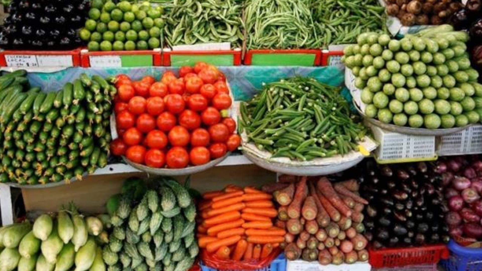 "سلة الغذاء" تنتعش.. 2283 طنا من الخضار تغرق السوق المركزي وتهوي بأسعار البندورة