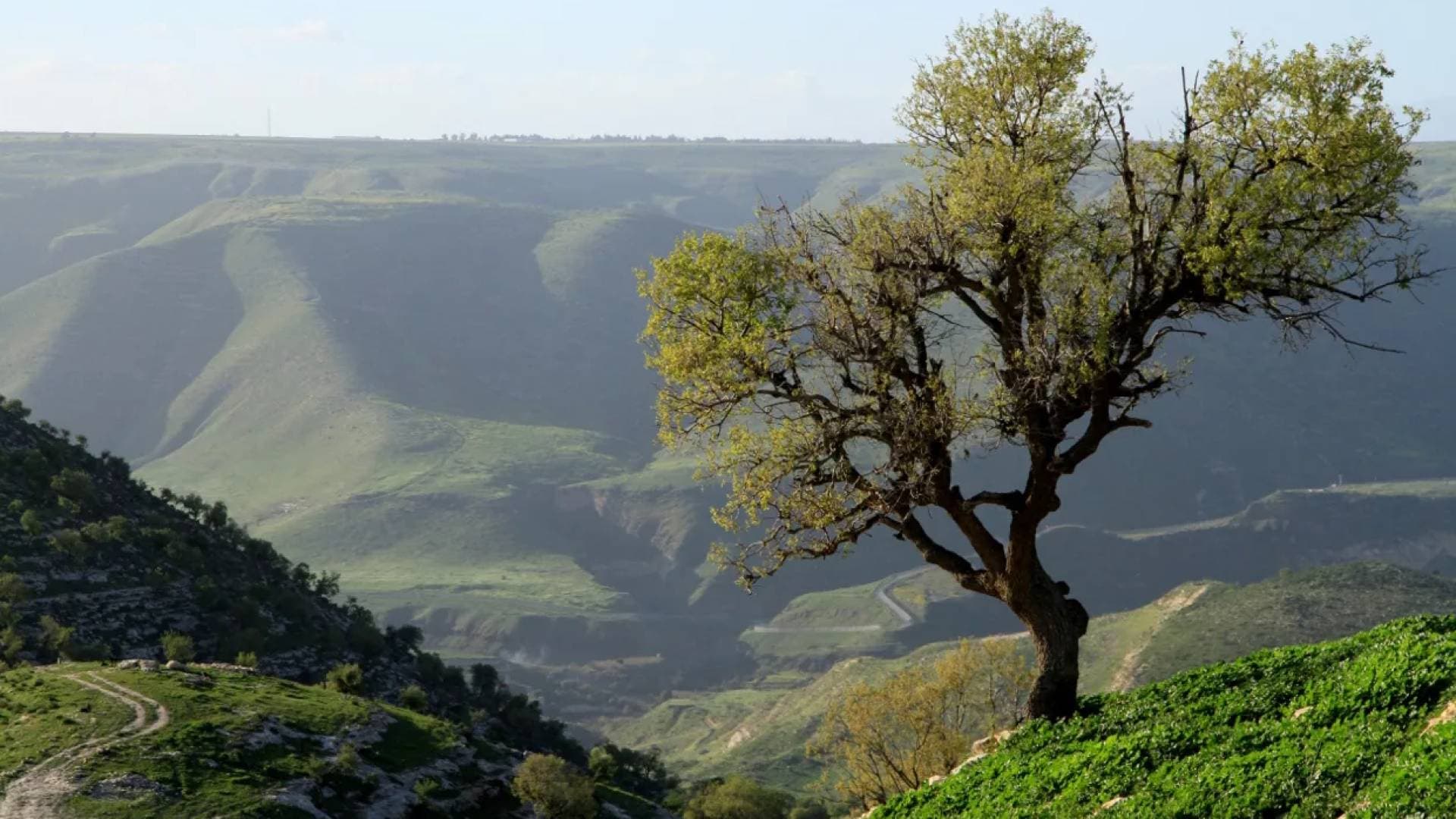ارتفاع تدريجي في درجات الحرارة وأجواء ربيعية دافئة تؤثر على الأردن حتى نهاية الأسبوع
