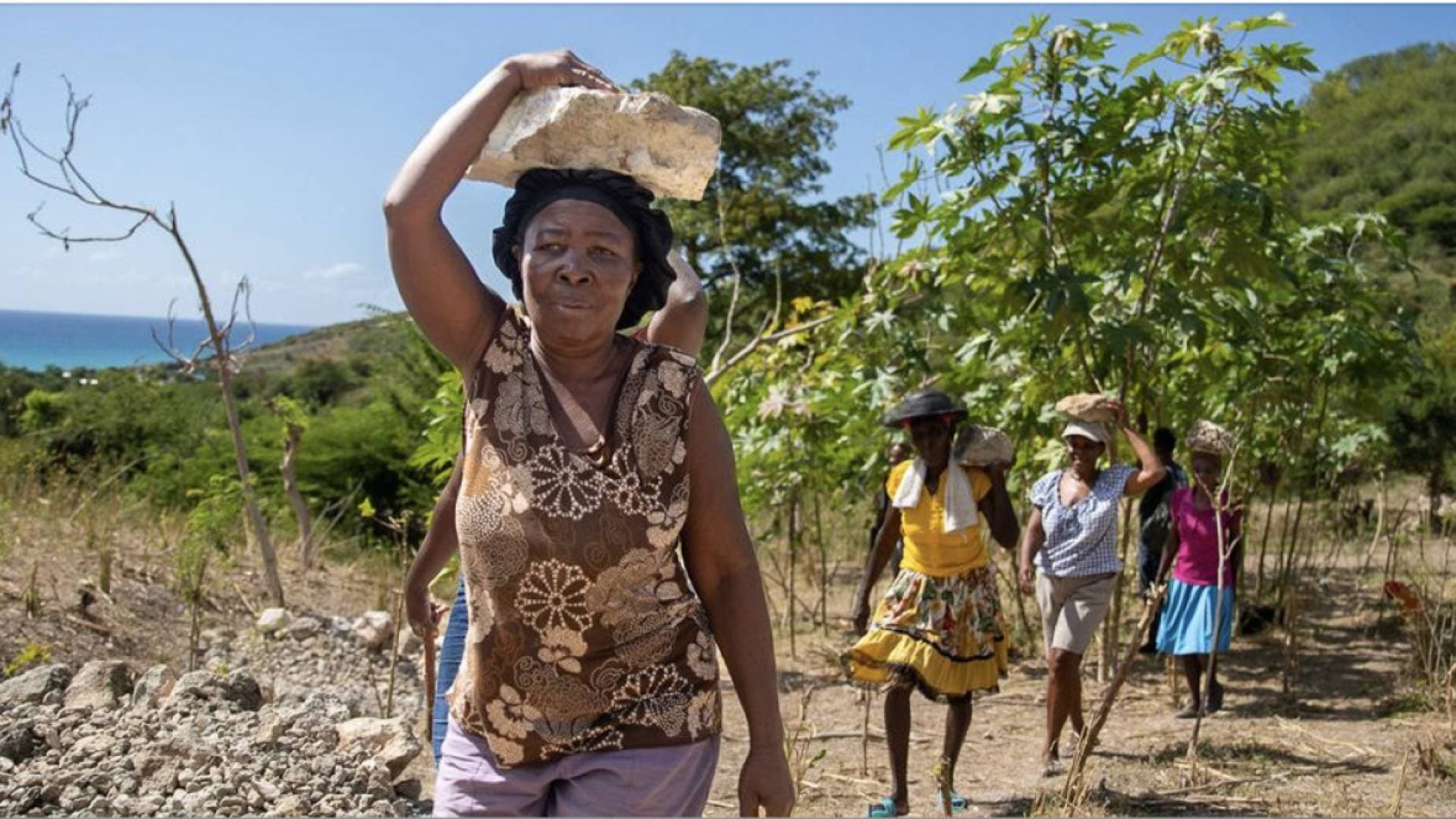 توقيف سبعة أشخاص في هايتي بعد مقتل 25 شخصا في حادثة تدافع