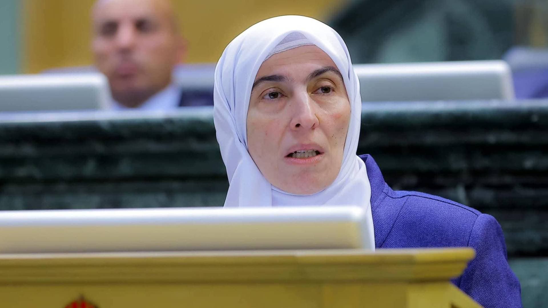 طهبوب: نعم لاستثمار النحاس ولكن بشروط تحمي حق الدولة والسيادة القانونية