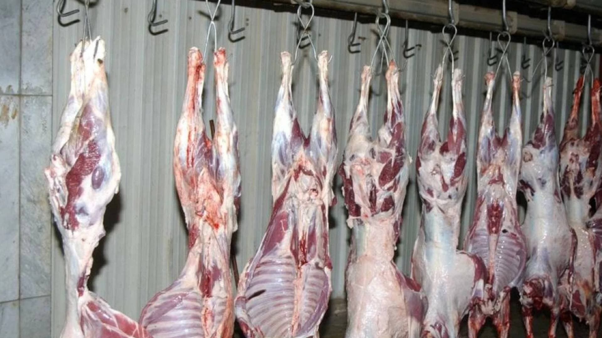 بورصة اللحوم في الأردن تشتعل: غلاء يحرم الموائد من "البلدي".. ومبررات المربين تحت مجهر النقد