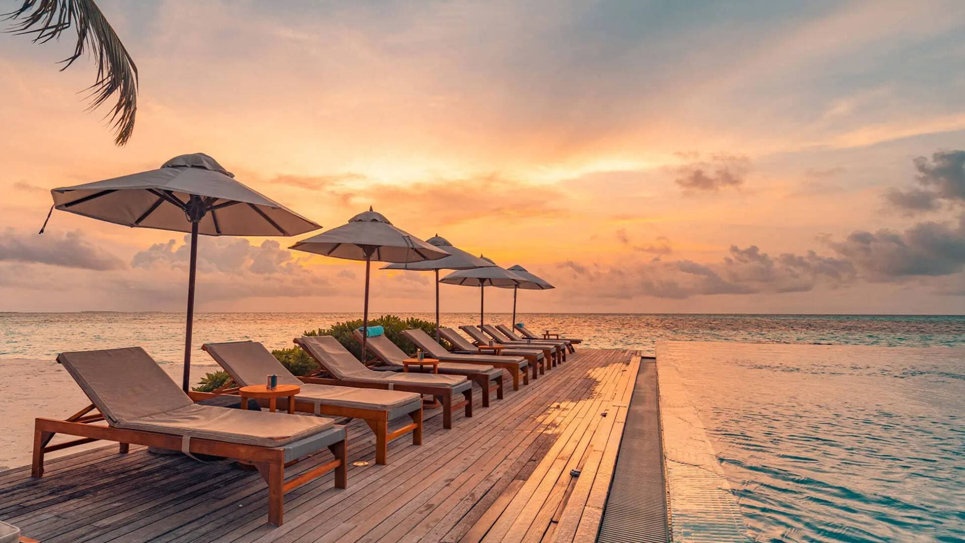 الفنادق الأردنية: إجراءات استباقية ومطالب بترحيل القروض