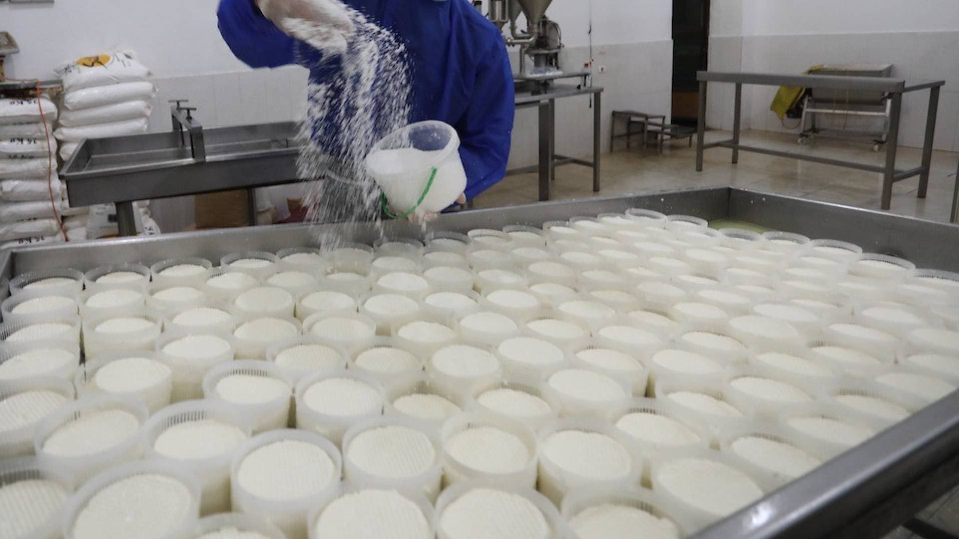 خلاف بين جمعية تعاونية ووزارة البيئة على ترخيص مصنع ألبان والكراسنة يعد بالحل.. فيديو