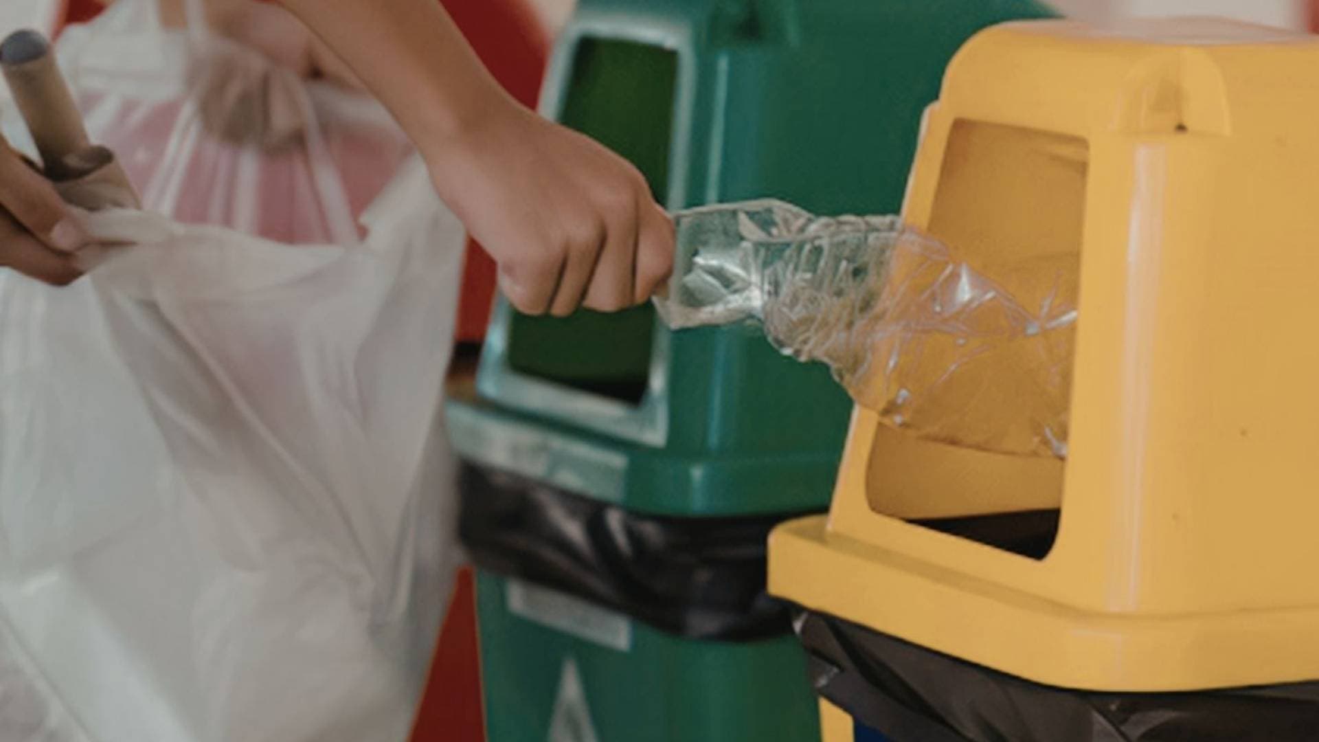 مؤثرة روسية في الأردن تطلق حملة توعية ميدانية للحد من إلقاء النفايات في الأماكن العامة.. فيديو