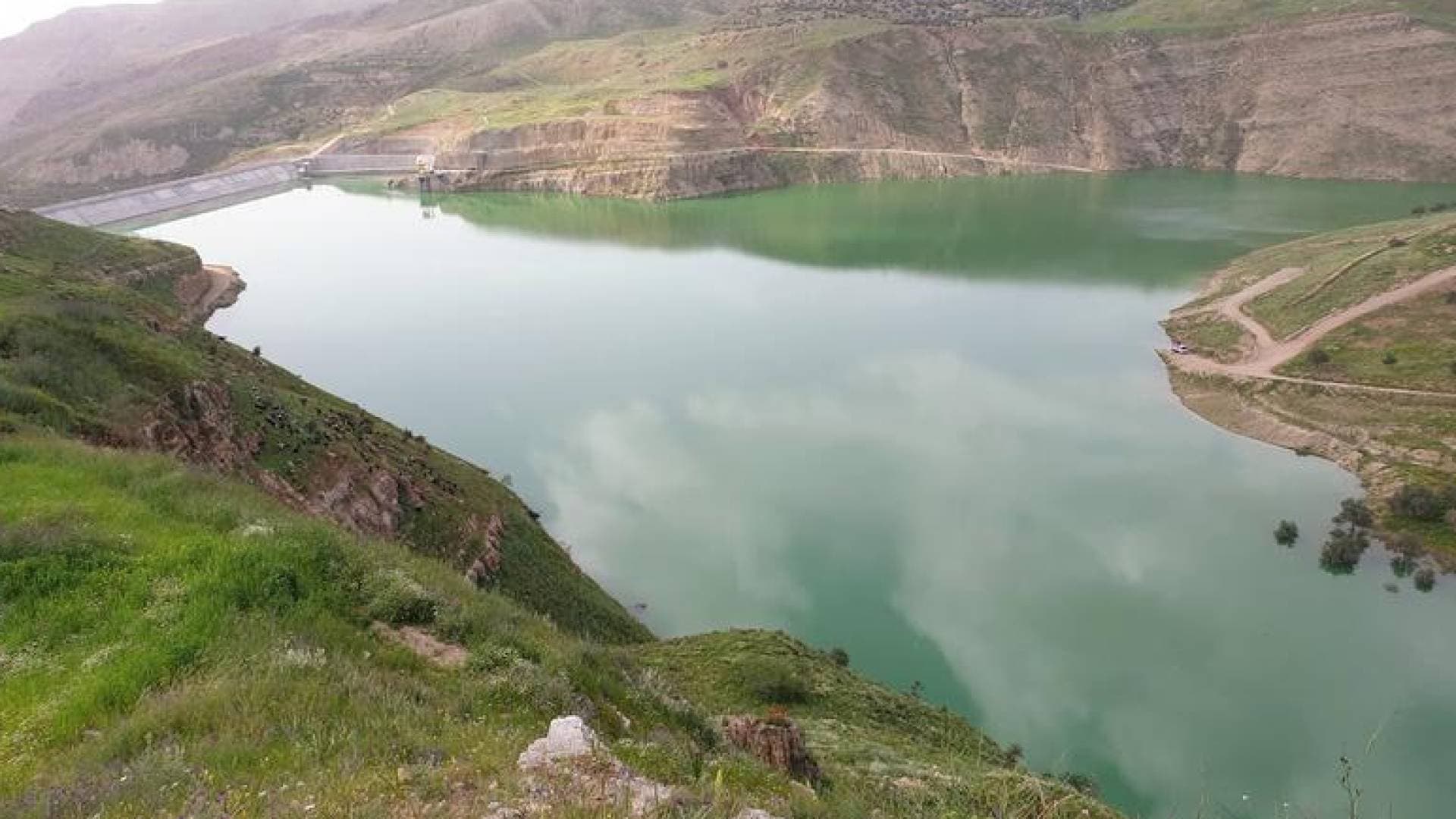 "الناقل الوطني" يعادل سعة سدود المملكة ويضخ 3 أضعاف مياه "الديسي"