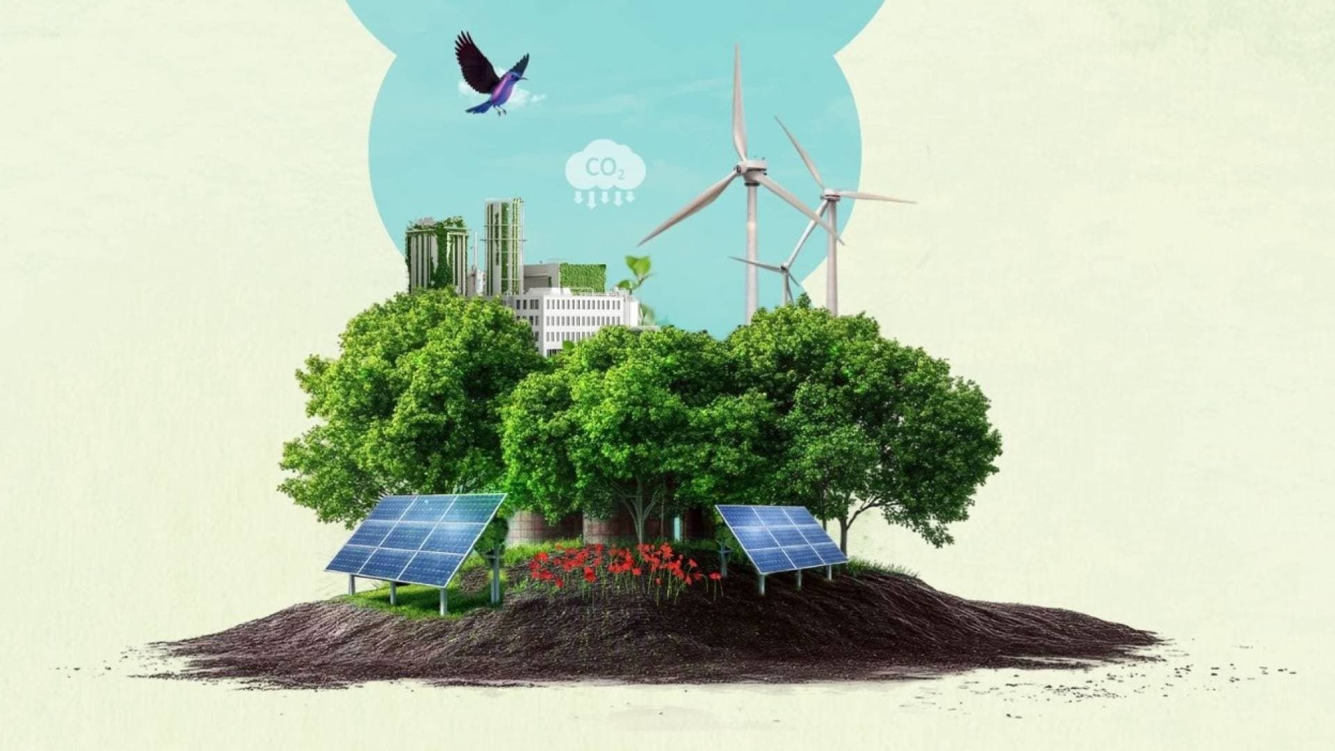 "بنك فلسطين" يرسخ ريادته البيئية: خفض الانبعاثات الكربونية بنسبة 55.8%