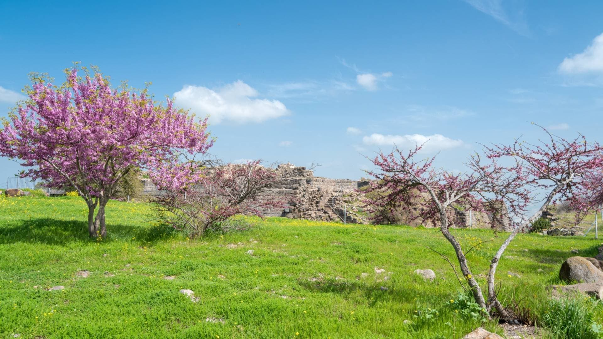 عطلة نهاية الأسبوع في الأردن: الطبيعة بانتظاركم.. فهل نتركها كما نحب أن نراها؟