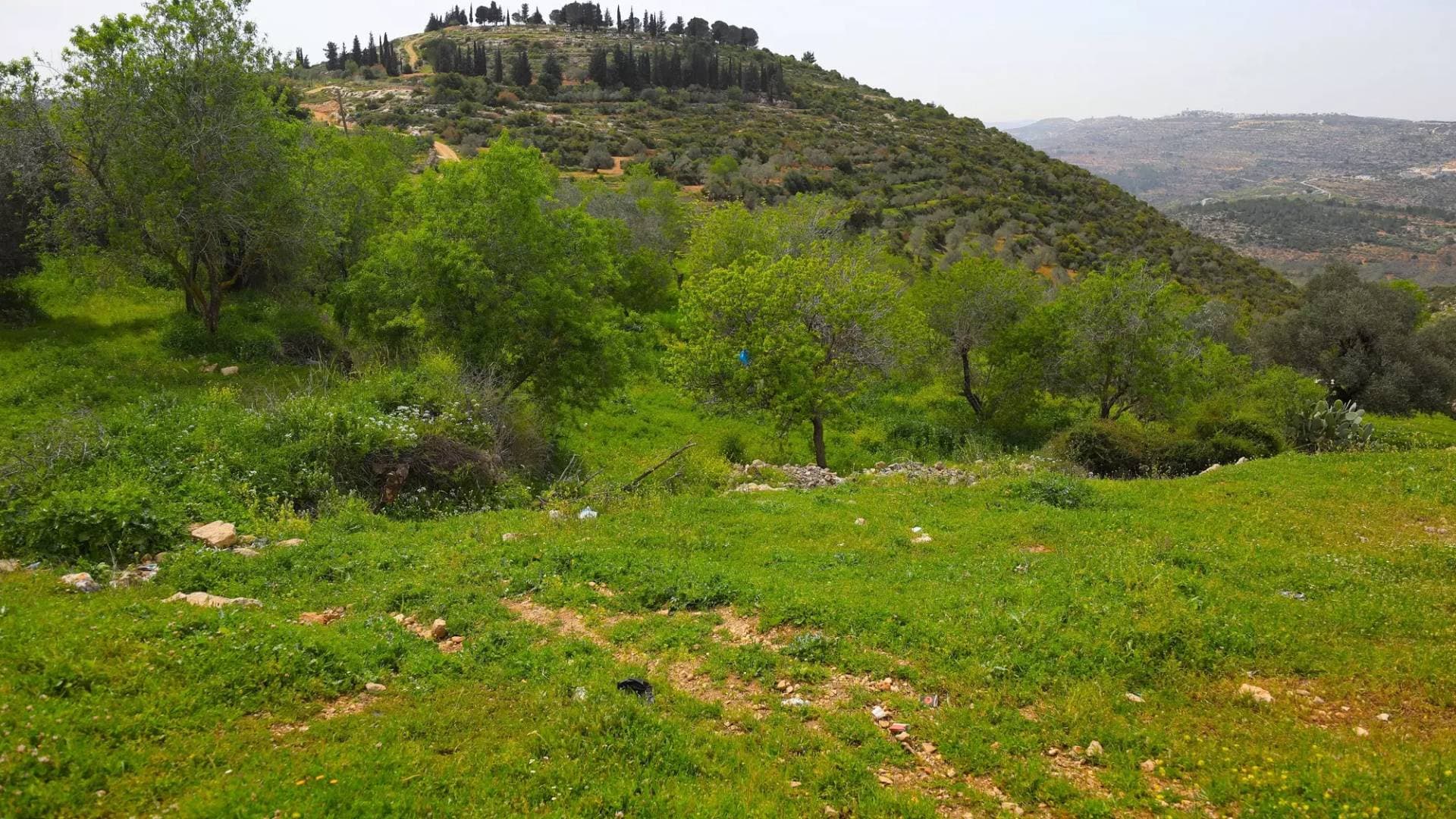 أزمة الكهرباء في "خربة عموريا" بمادبا.. وصول الخدمة رهن بتوسعة الشوارع والوثائق الرسمية