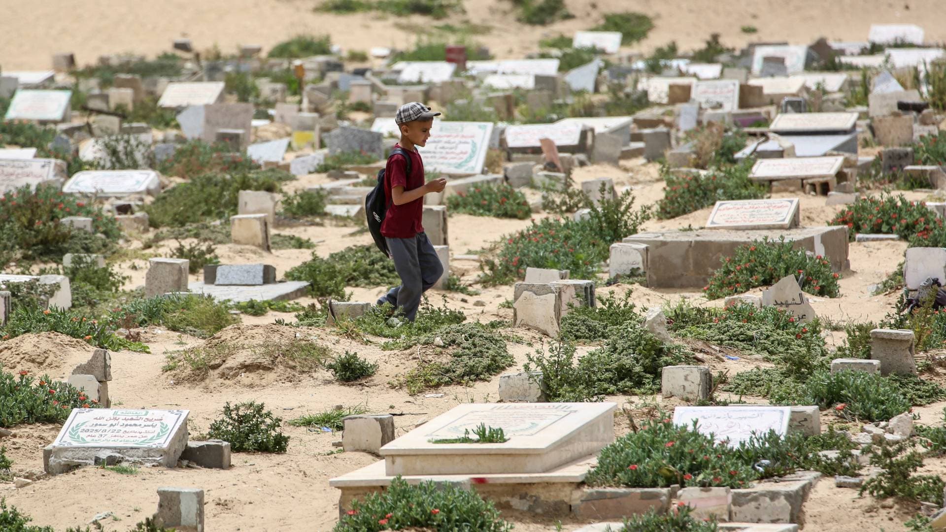 من "كفن الموت" إلى مشافي الأردن.. قصة الطفلة الغزية "دعاء" التي عادت إلى الحياة بمعجزة.. فيديو