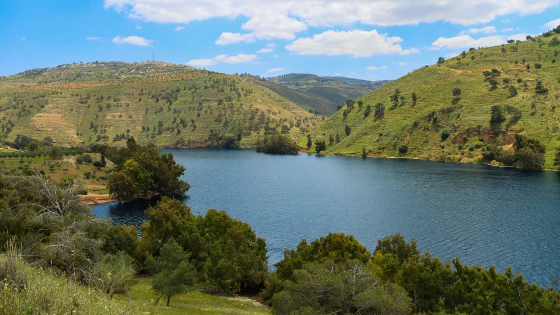 الأمن العام يتمنى للجميع عطلة نهاية أسبوع ممتعة ويدعو للحفاظ على البيئة خلال التنزه