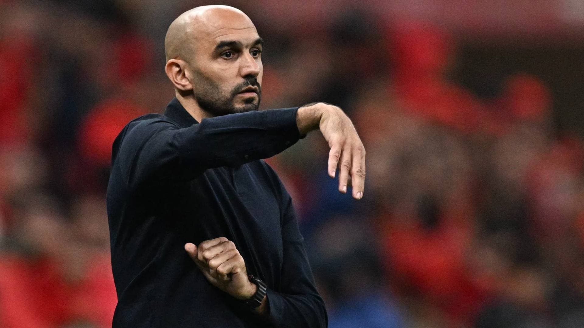 هل يصبح الركراكي أول مدرب عربي لريال مدريد الإسباني؟