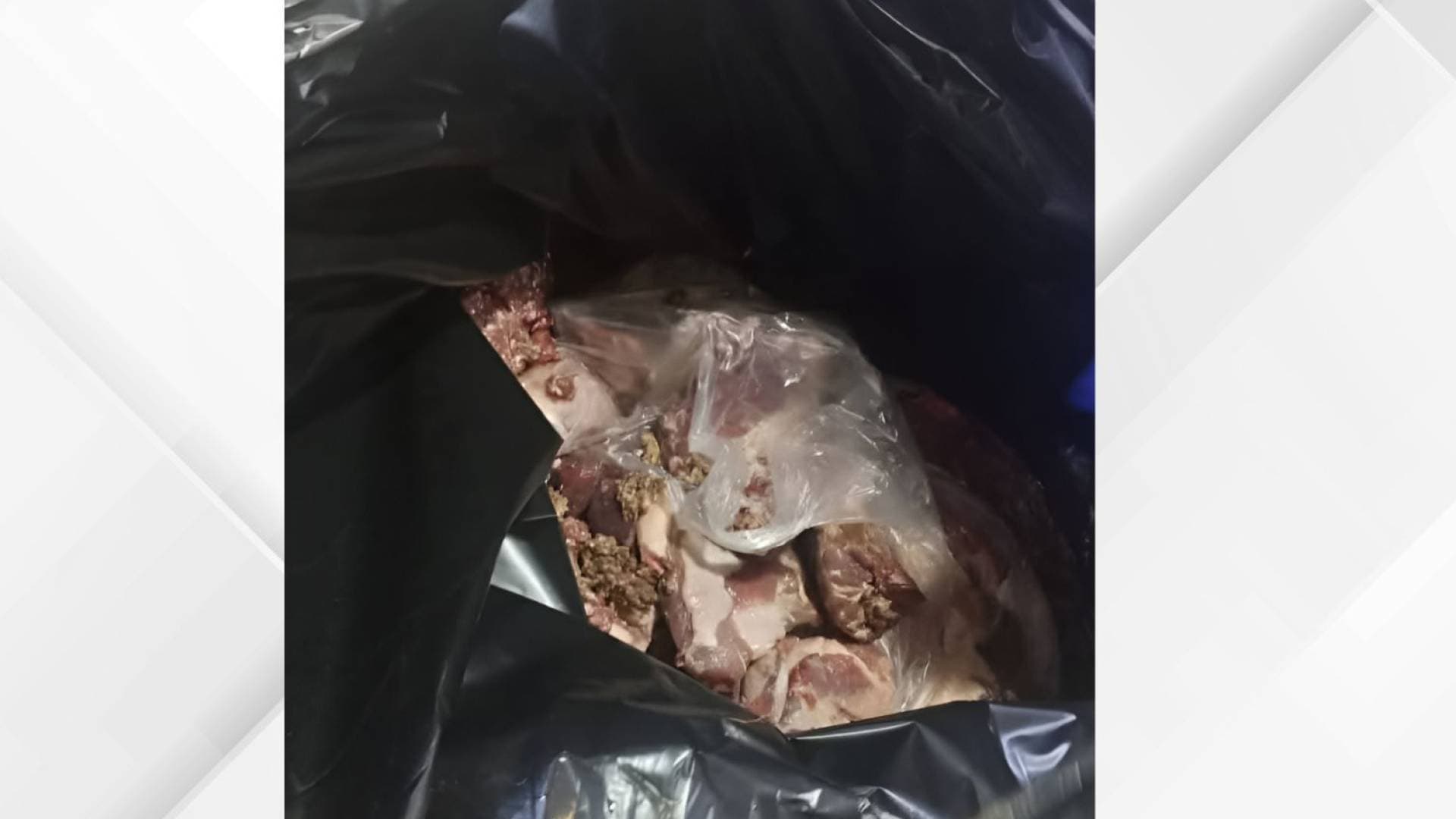 بلدية المفرق الكبرى تضبط وتتلف كميات من اللحوم غير الصالحة للاستهلاك