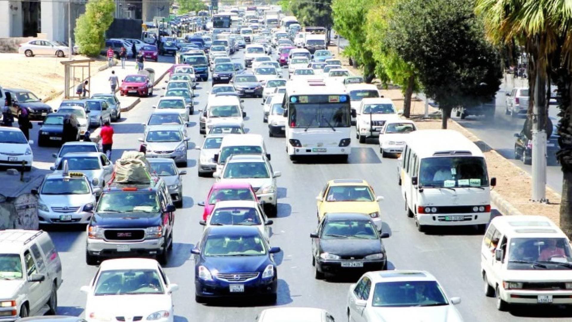 خبير هندسة مرور لـ "رؤيا": 1.7 مليون مركبة في عمان تضغط على شبكة طرق محدودة -فيديو