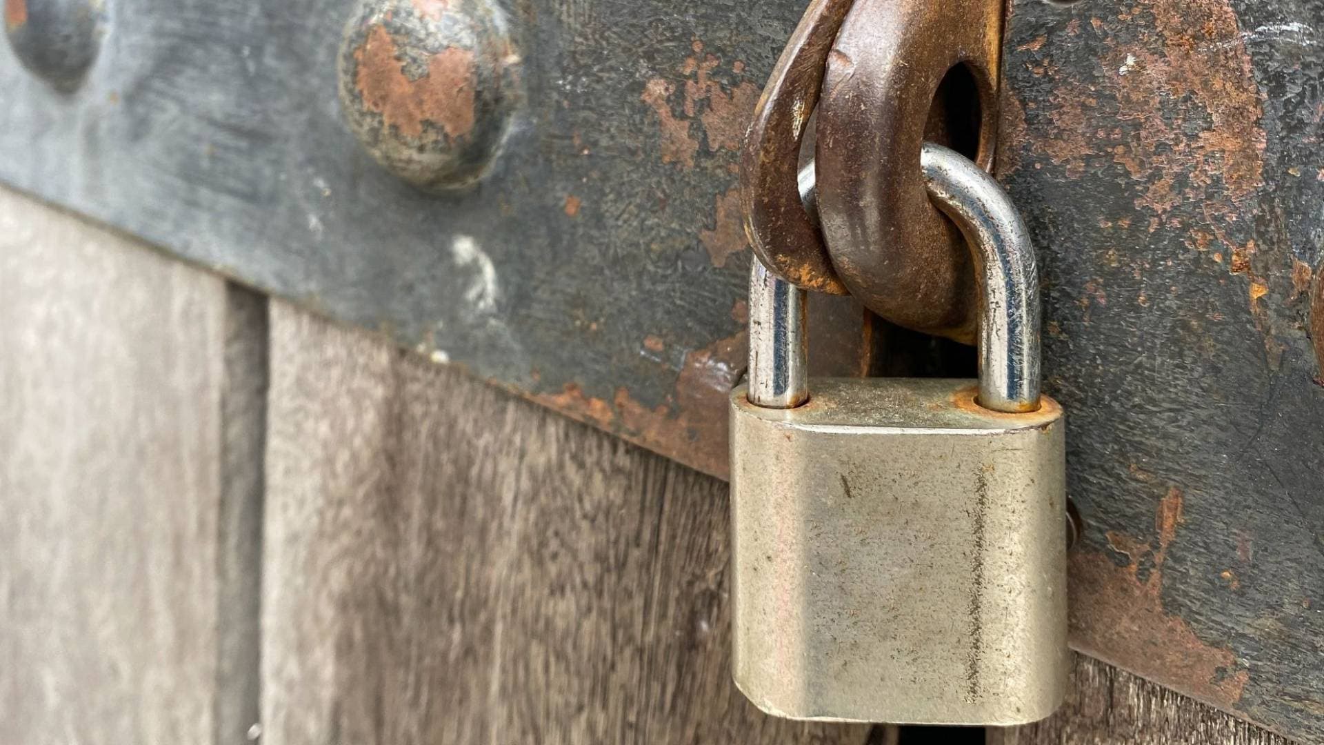 إغلاق محل تجاري وتوجيه إنذارات خلال حملة رقابية في إربد