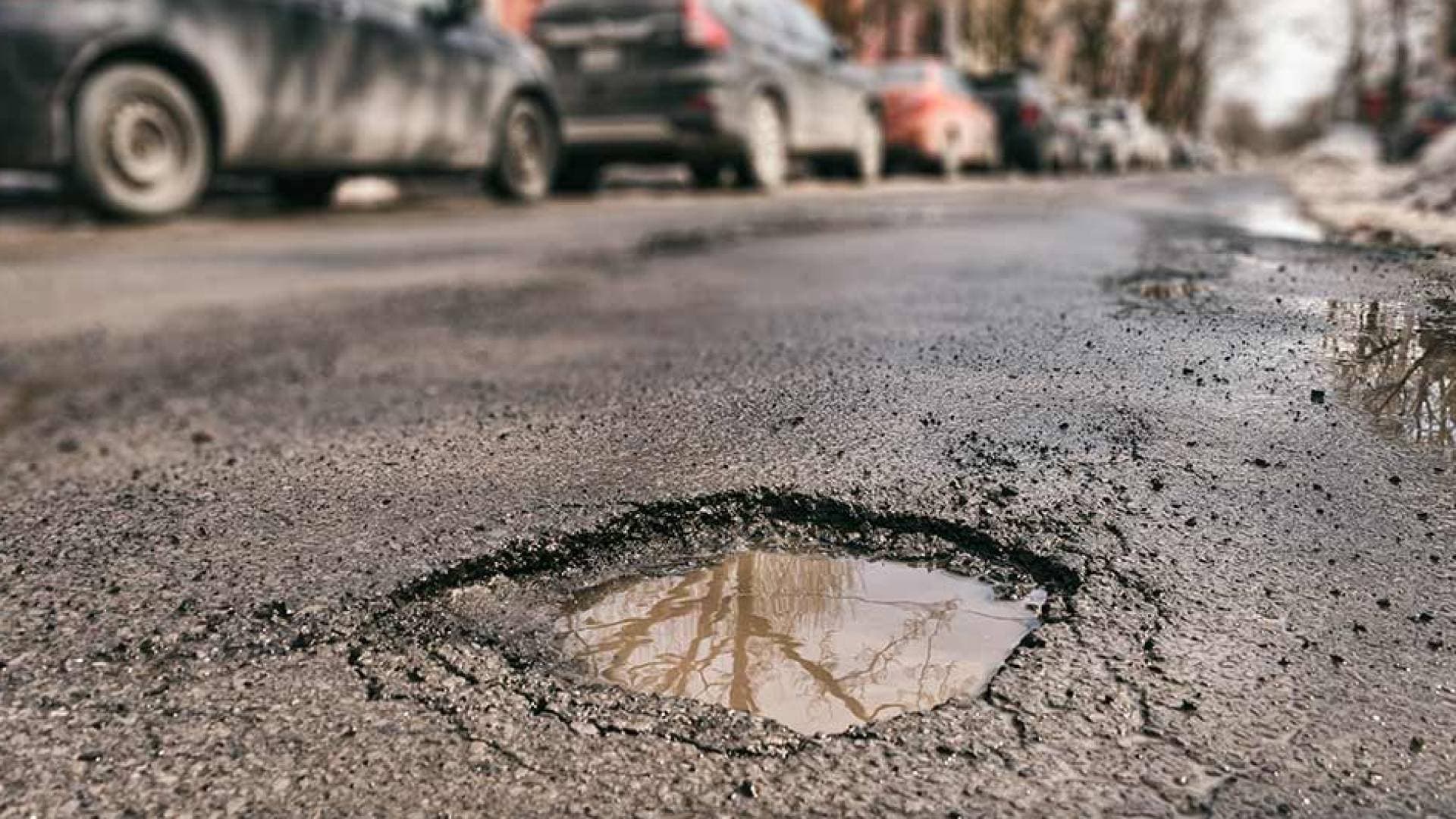 بمتابعة "من هنا نبدأ".. "أمانة عمان" توضح حدود مسؤوليتها عن صيانة شارع الخدمات بالمدينة المنورة