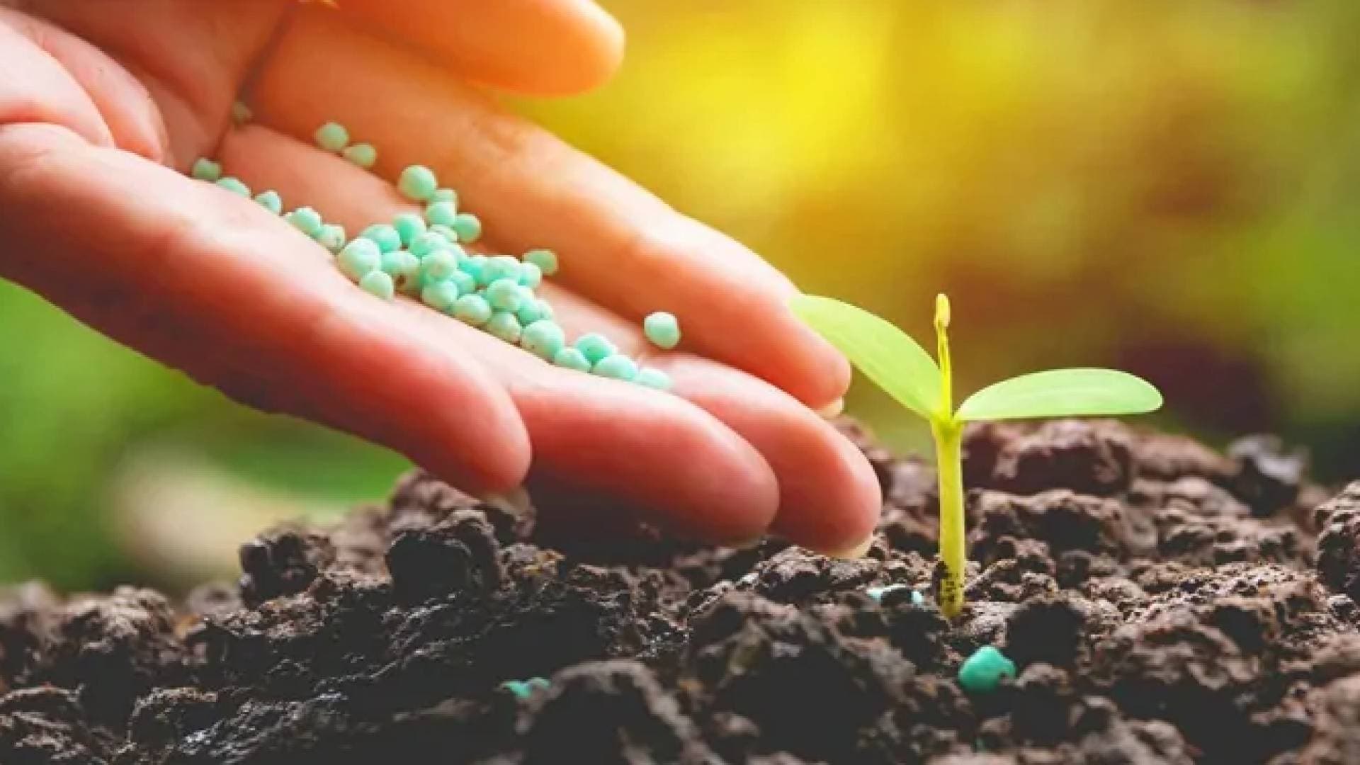 تعرف على تفاصيل اتفاقية إنتاج الأمونيا الخضراء في الأردن