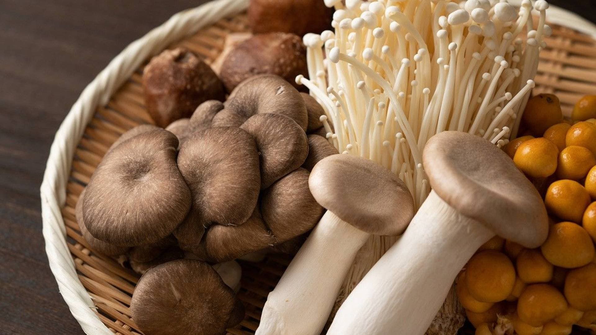 دراسة كندية : الفطر يكشف عن قدرة جديدة في تقوية المناعة ضد الإنفلونزا