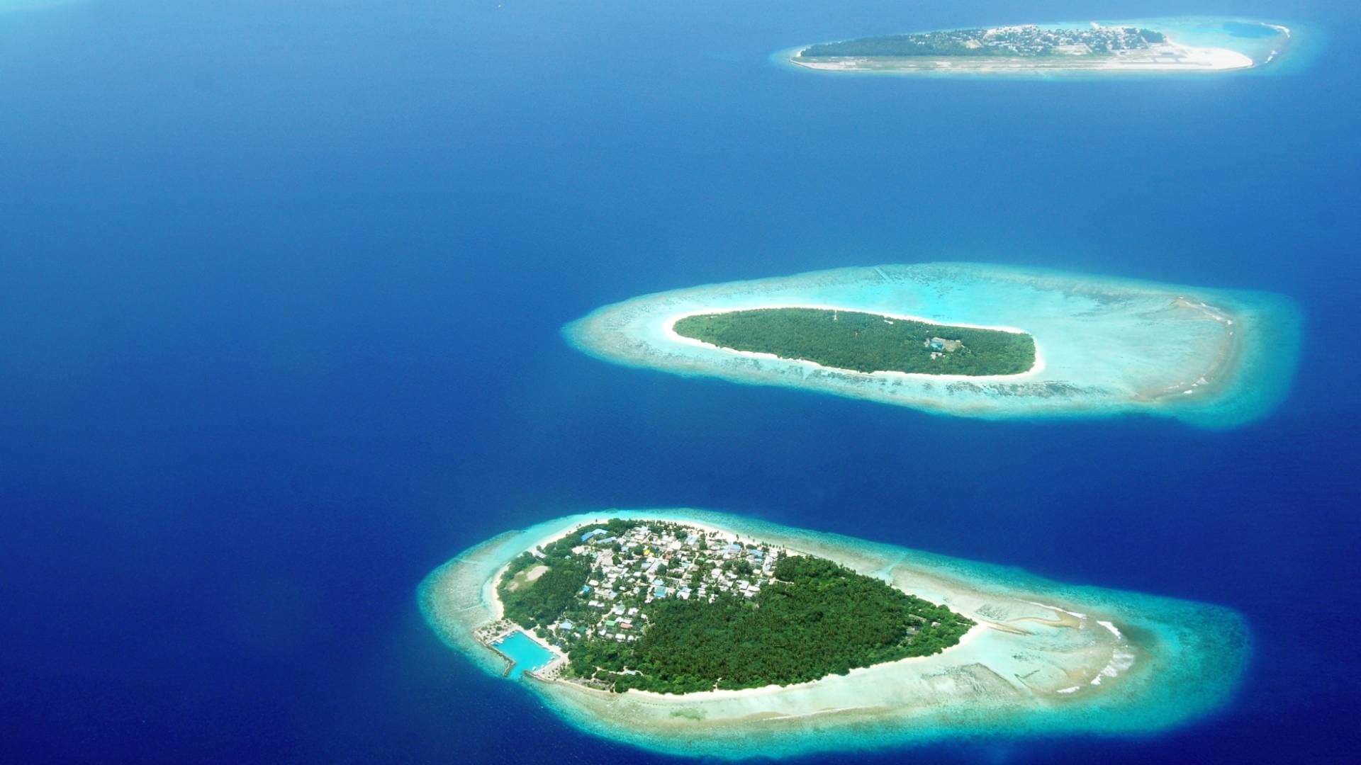 جزر الواق واق.. حقيقة أم أسطورة؟ رحلة في أغرب حكايات التراث الجغرافي العربي